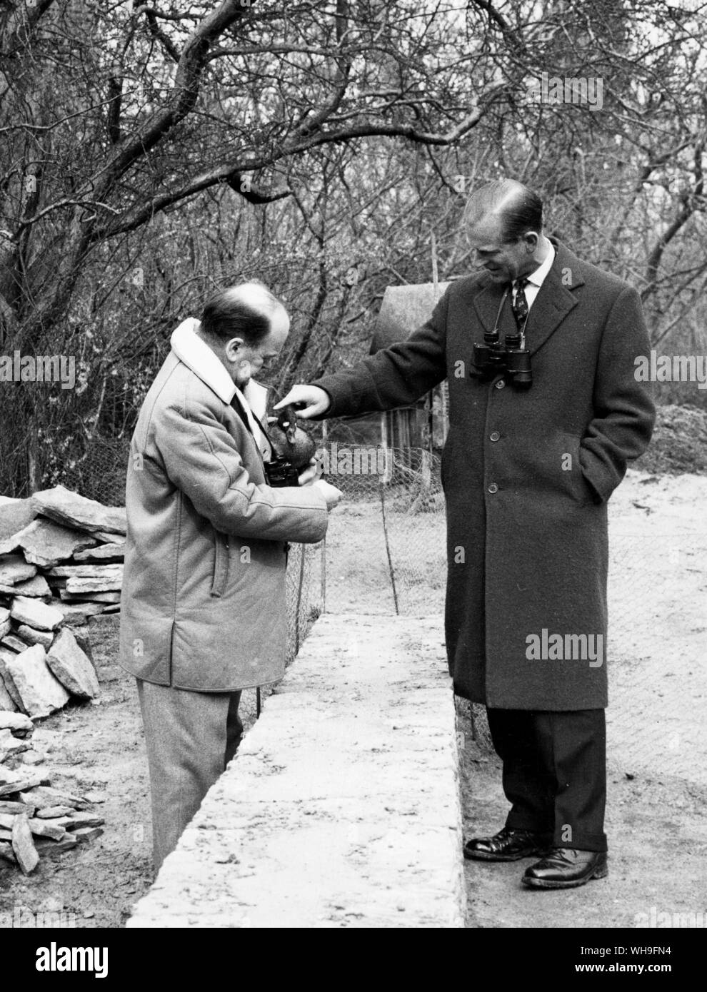 Le prince Philip, duc d'Édimbourg. Époux de la reine Elizabeth II d'Angleterre. Banque D'Images