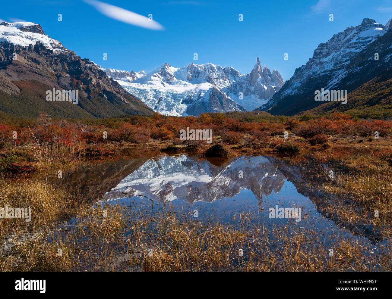 Couleurs automnales dans le Parc National Los Glaciares avec les réflexions de Cerro Torro, UNESCO World Heritage Site, Province de Santa Cruz, Argentine Banque D'Images