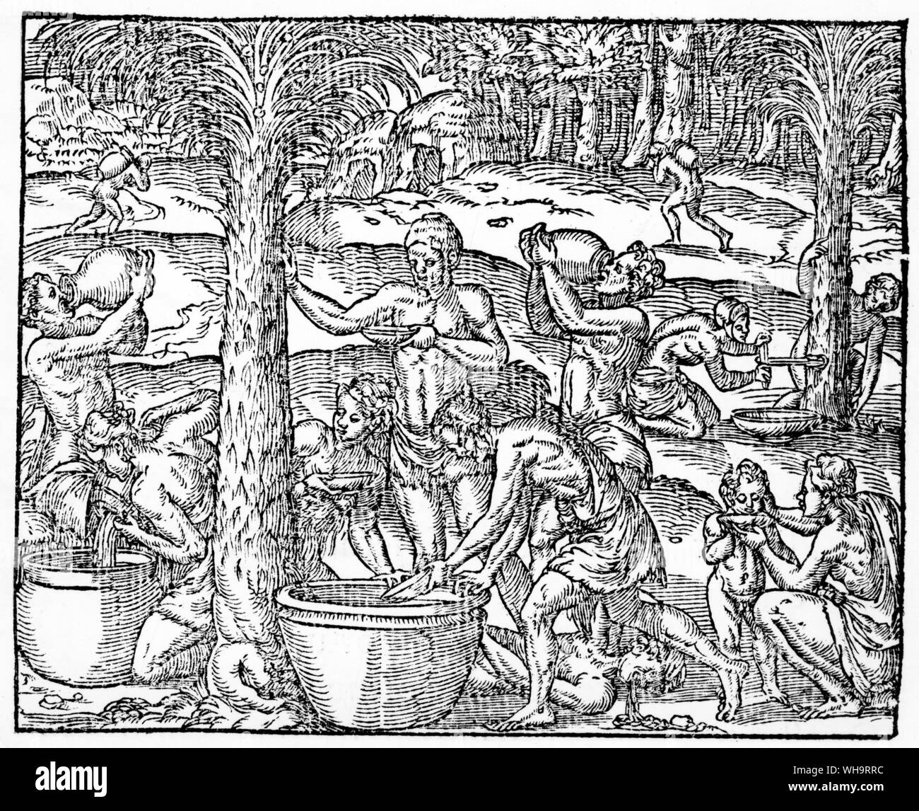 Faire du vin de palmier, 1558. Banque D'Images