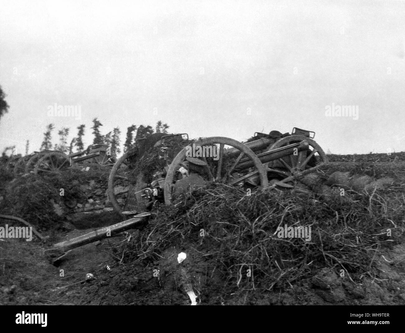 WW1 : bataille de Messines, 1914. 18 lao en action. Bois de Ploegsteert, 19th-20th Octobre 1914. 1re brigade de cavalerie. De Canon WW1. Banque D'Images