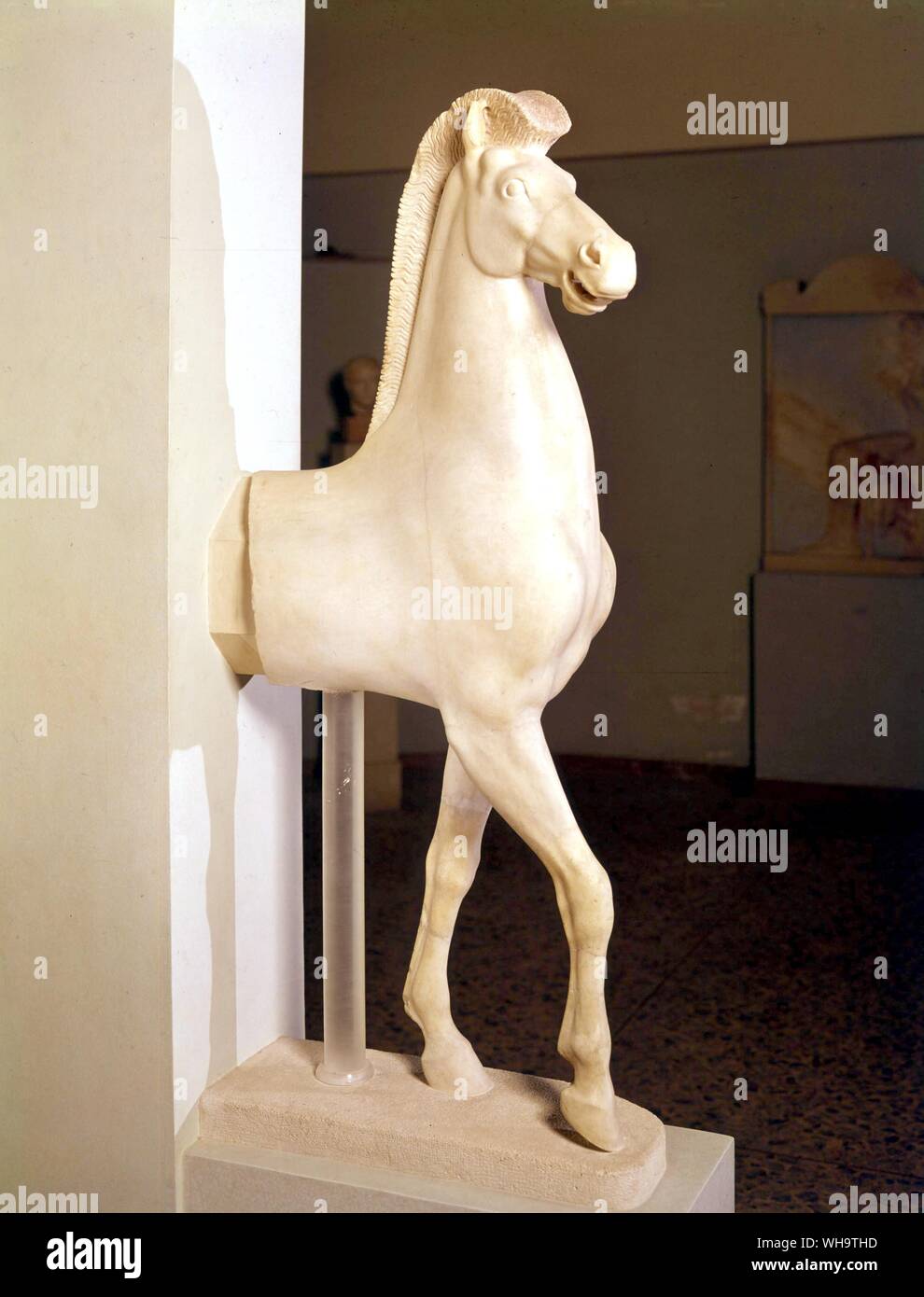 Depuis le début de l'histoire, il y avait deux espèces de cheval - le paresseux, vicieux et la souche européenne arabe supérieure. Cette créature doit être mettlesome impatient ces derniers, aussi sûrement étaient celles dont les propriétaires Xénophon a écrit deux volumes sur 'Equitation'. Banque D'Images