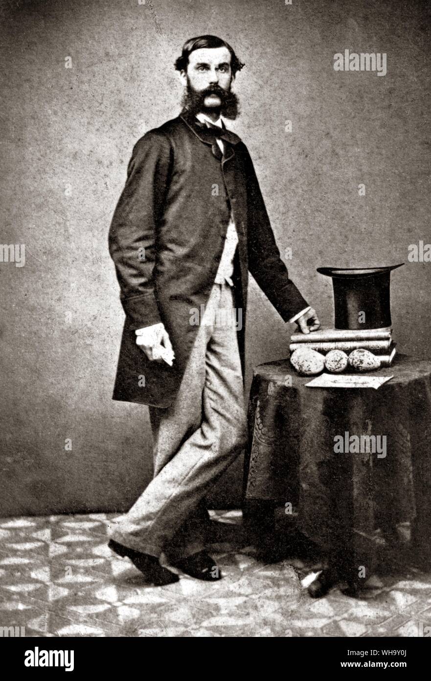 L'échevin Robert Champley de Scarborough, un fervent collectionneur victorien de Grand Pingouin oeufs, avec quatre de ses oeufs. Banque D'Images