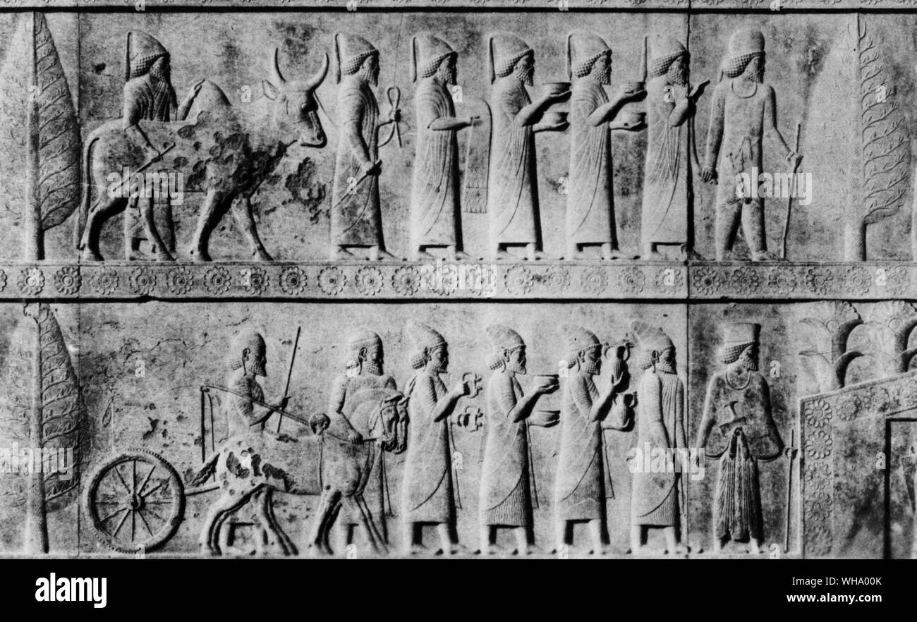 Les Babyloniens et les syriens portant hommage ; un soulagement d'un escalier de l'Apadara à Persépolis. Banque D'Images