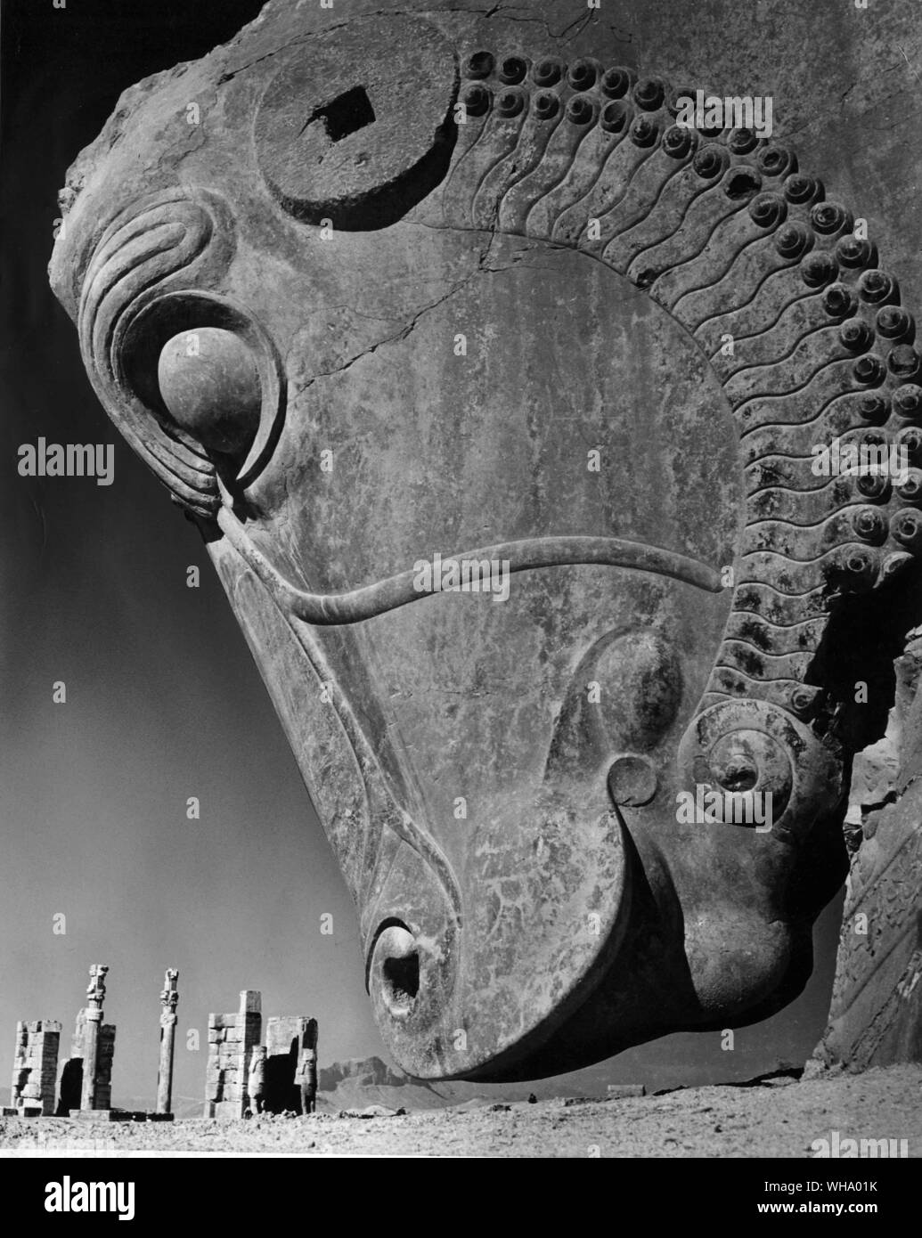 Persepolis, Iran. Gateway et sculptée d'une tête de cheval. Banque D'Images