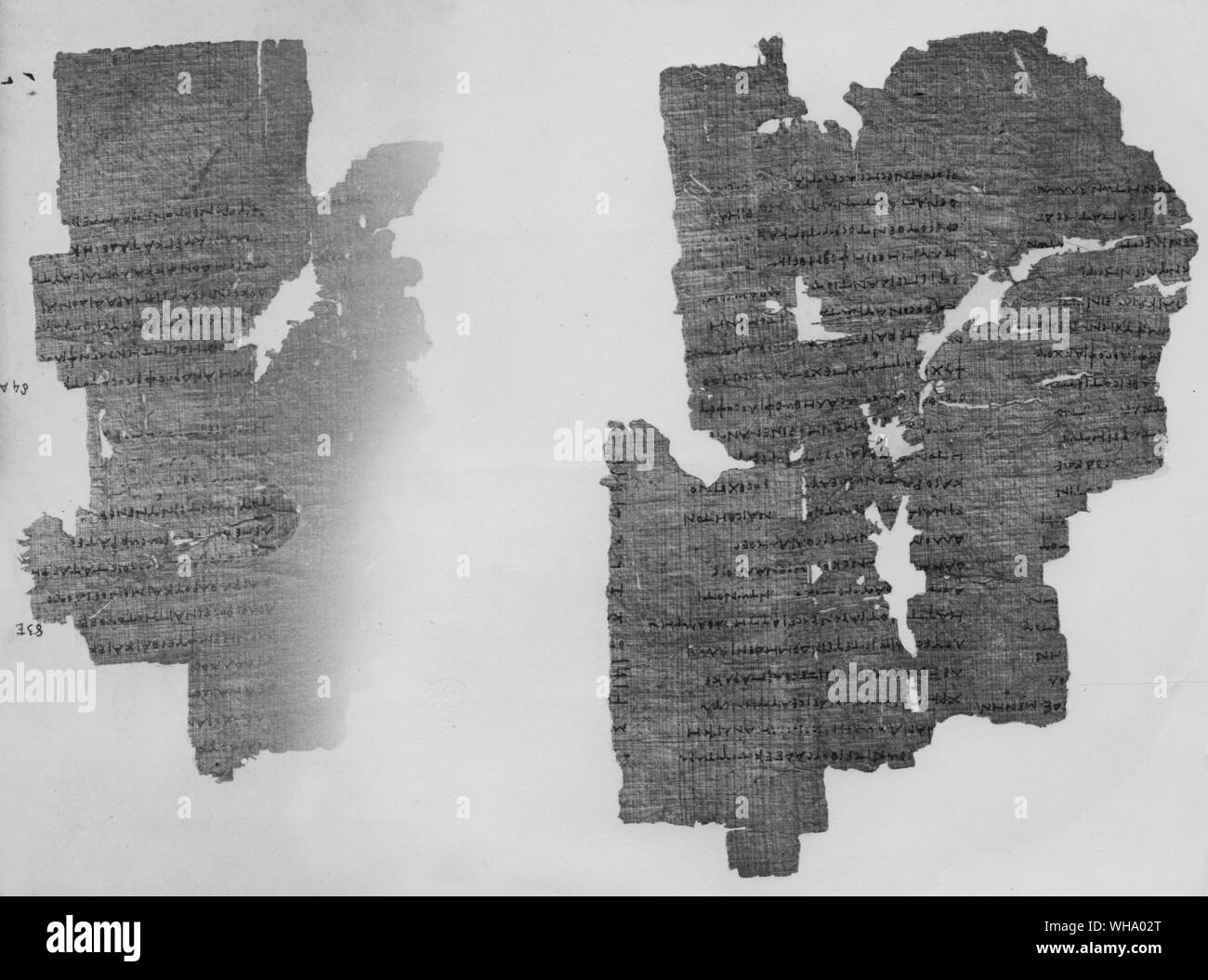 Copie du manuscrit en papyrus appartenant à Platon. Banque D'Images