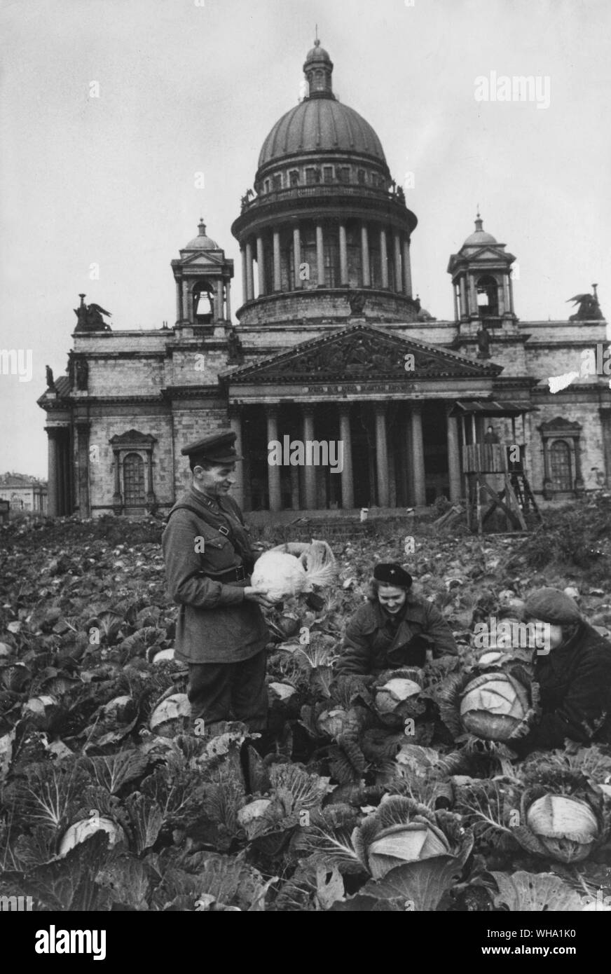 WW2 : la Russie/ au début du siège, les allotissements de légumes fait Léningradiens dans la place en face de la cathédrale Saint-Isaac. Banque D'Images