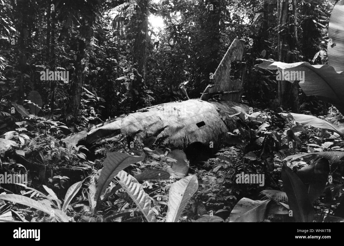 WW2 : Le tombeau de Yamamoto ; recouvert de mousse épaisse et vivant avec les insectes et les lézards. Yamamoto était un des meilleurs hommes et Japans militaire planifié l'attaque sur Pearl Harbor. Il a rencontré sa fin dans cette épave brûlée . Banque D'Images