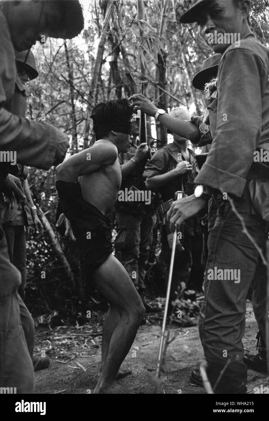 Guerre du Vietnam : un prisonnier a les yeux bandés et les bras sont attachés derrière lui avec ses propres vêtements comme l'interrogatoire commence. Banque D'Images