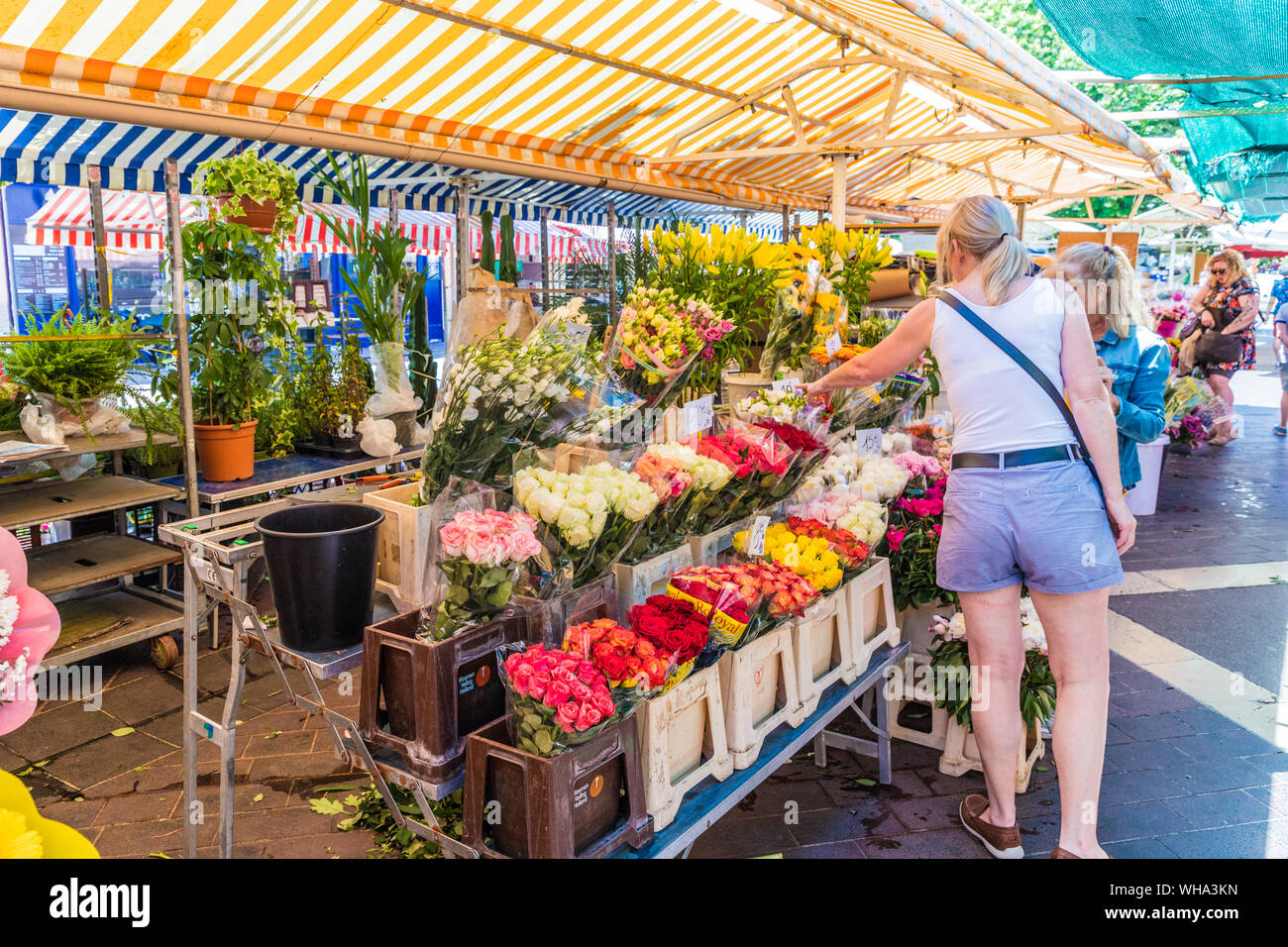 Le marché aux fleurs Cours Saleya Marché, Vieille Ville , Nice, Alpes Maritimes, Côte d'Azur, French Riviera, Provence, France, Europe, Méditerranée Banque D'Images