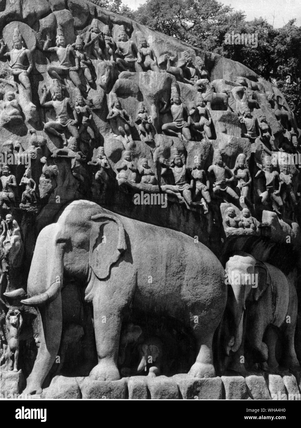 Arjuna ' s pénitence Mahabalipuram. Ces bas-reliefs, sculptés dans la 7e siècle, sont parmi les plus importantes au monde. Couvrir complètement deux énormes rochers 27 mètres de long et 9 mètres de haut, les bas-reliefs représentent le débit du Gange vers le bas à partir de l'Himalaya comme décrit dans le Panchatantra. L'histoire est un mythe d'inondation comme l'histoire de Noé, mais diffère dans sa galerie de personnages. La légende dit que le roi Bhagirath ramené le Gange du ciel pour purifier les âmes de ses ancêtres. Son plan a mal tourné lorsqu'il réalisa que l'inondation s'inonder la terre, de sorte qu'il a dû subir une pénitence Banque D'Images