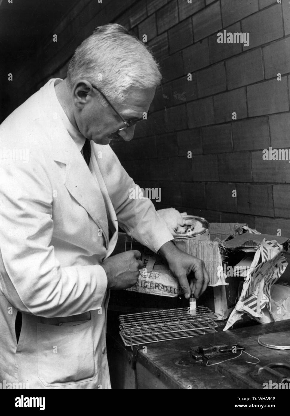 Le sang et les échantillons obtenus dans une étude mexicaine sont inspectés par un médecin à l'arrivée à l'Université de Cincinnati où il effectue en laboratoire de virus vivant de la recherche. 1959 Banque D'Images