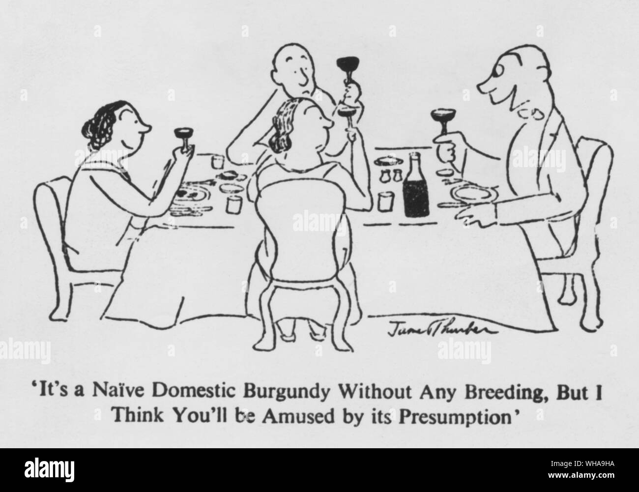James Thurber. C'est un domestique naïf Bourgogne sans leurs petits mais je pense que vous serez amusé par sa présomption. Banque D'Images