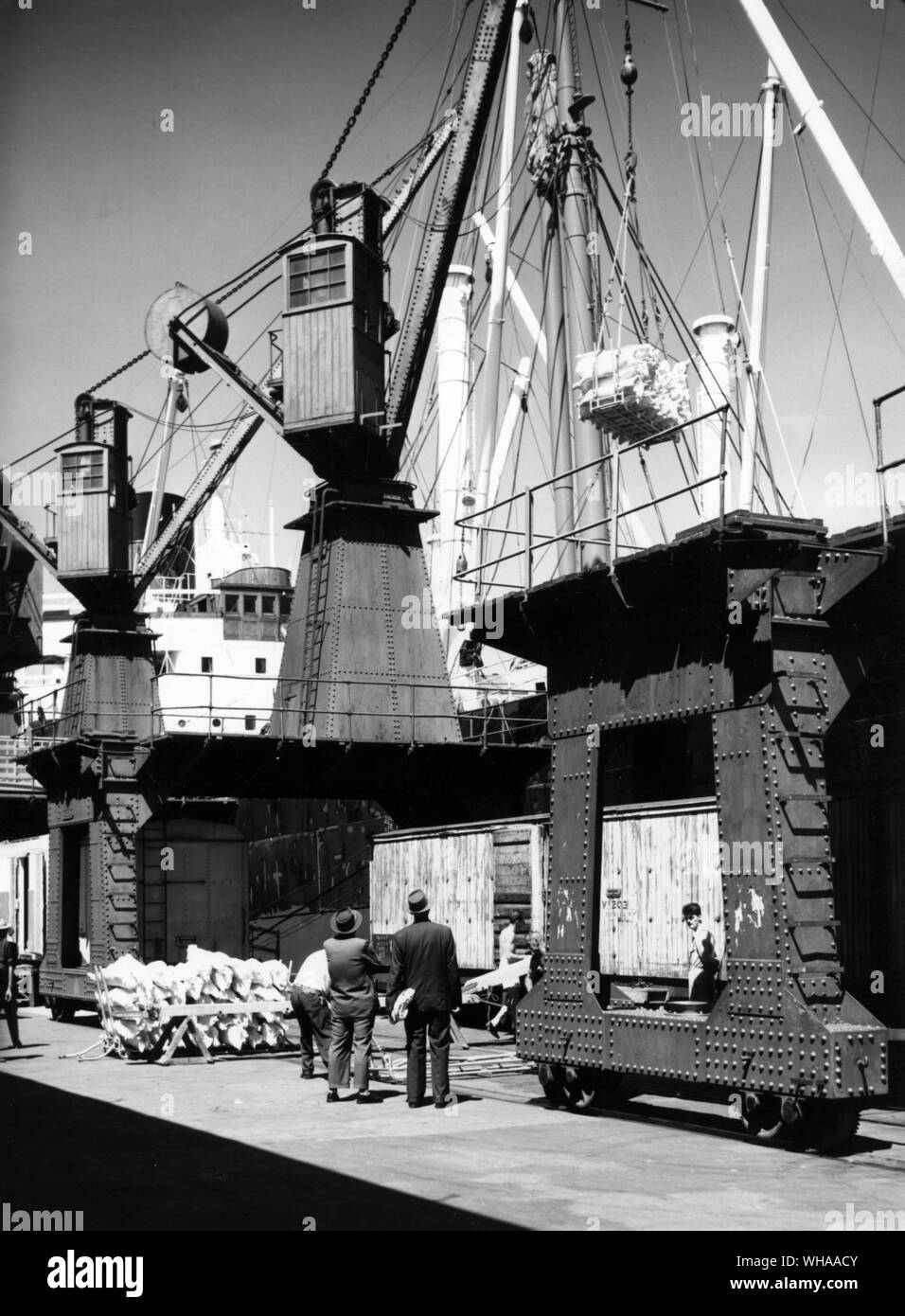 Mouton congelé de chargement sur un navire étranger à Wellington, Nouvelle-Zélande. Les carcasses sont chargés sur des camions de fer refigerated près du bateau de la salle d'attente est réfrigéré. Juillet 1963 Banque D'Images