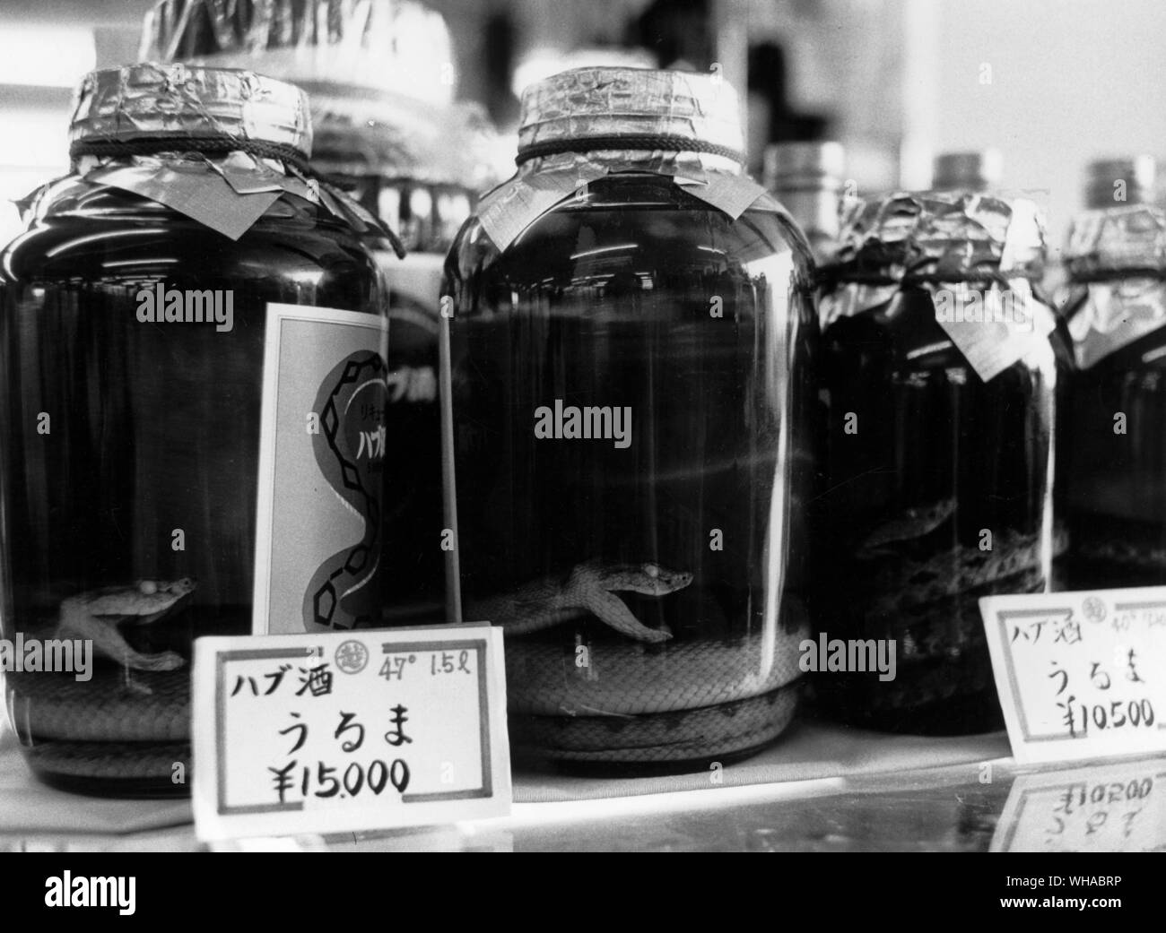 Les Serpents à Sake marinés comme aphrodisiaque en vente pour les touristes à l'aéroport d'Okinawa à £60 un pot Banque D'Images