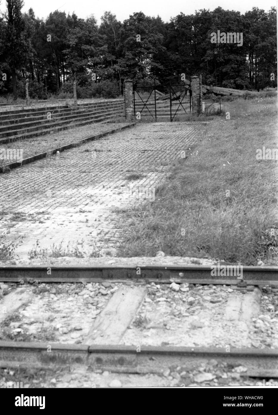 La porte et les ruines de crématorium III avec les embranchements ferroviaires au premier plan et le bois de bouleau derrière prises en 1980 Banque D'Images
