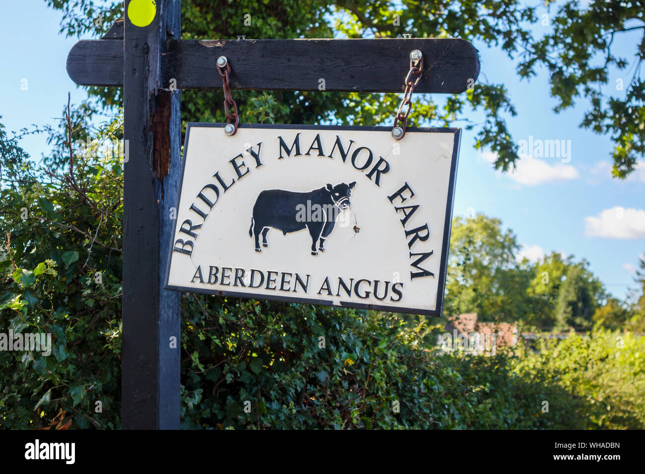 Aberdeen Angus routière signe extérieur Bridley Manor Farm, Worplesdon, près de Guildford et Woking, Surrey, Angleterre du Sud-Est, Royaume-Uni Banque D'Images