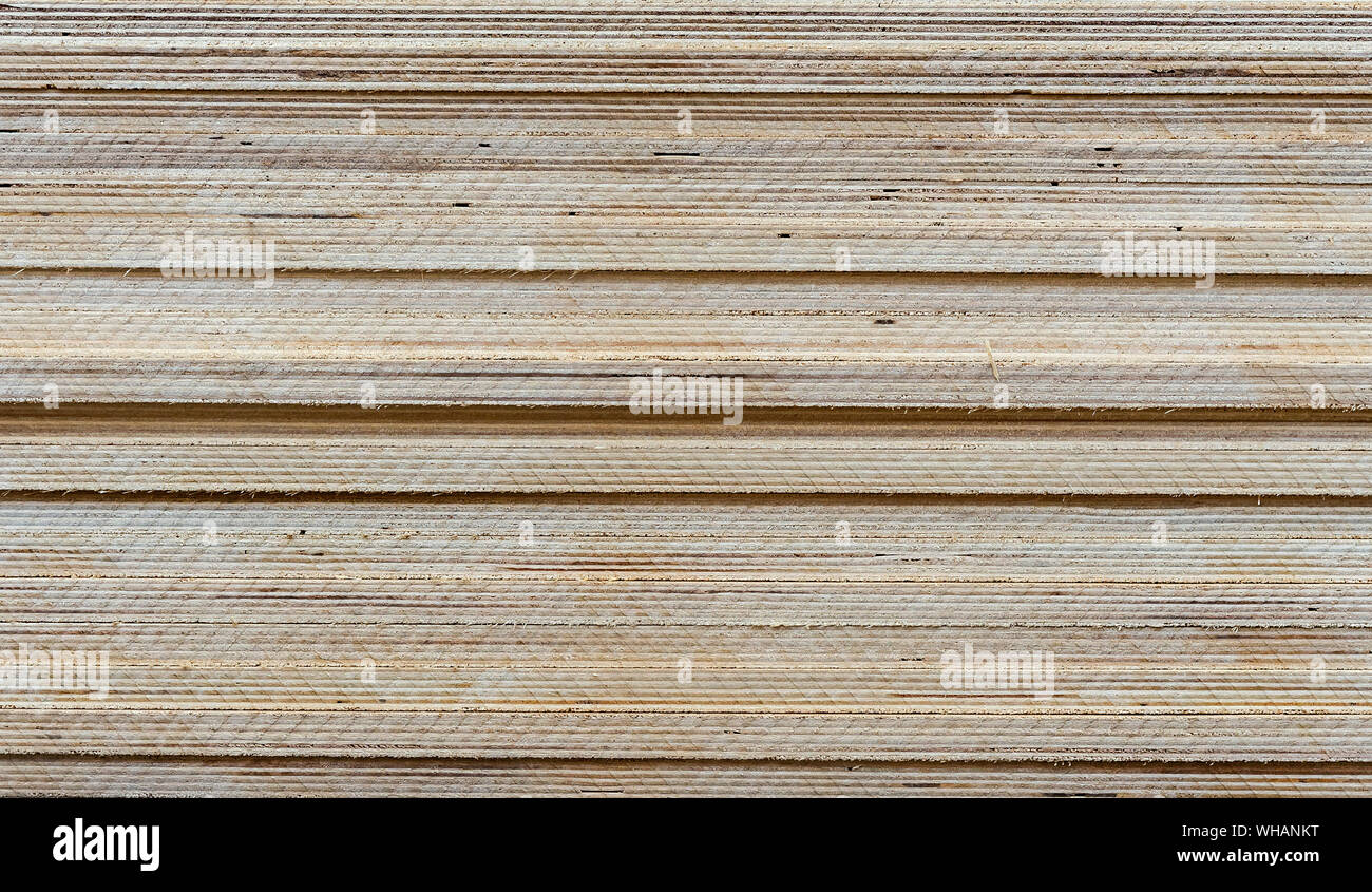 Panneaux de texture. Feuilles de contreplaqué. Fond de bois pour la conception et la décoration. Banque D'Images