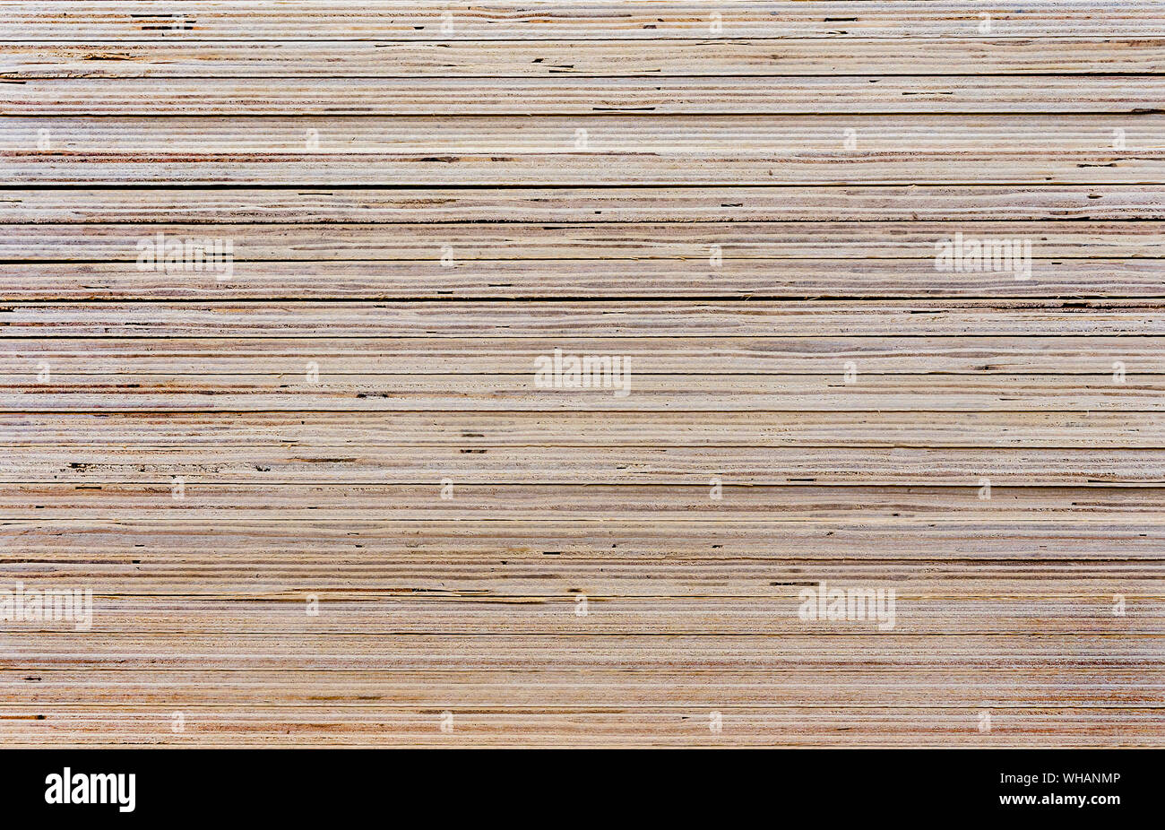 Panneaux de texture. Feuilles de contreplaqué. Fond de bois pour la conception et la décoration. Banque D'Images