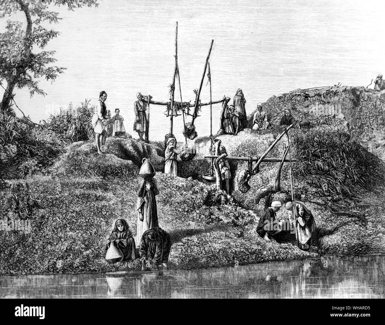 Shaduf : un très simple levier à main utilisés pour le levage de l'eau pour irriguer les champs. La vie sociale en Egypte Banque D'Images