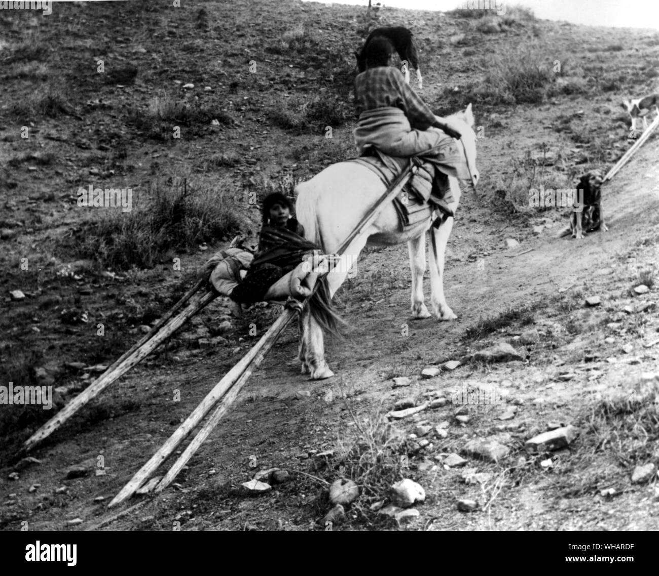 Femme avec des travois. . Appareil utilisé par Autochtones d'Amérique du nord des Grandes Plaines pour transporter leurs tipis et articles ménagers. Il était constitué de deux poteaux, attaché d'un côté ou d'un chien ou, plus tard, un cheval, avec une extrémité de chaque pôle traînant sur le sol. Il avait des sangles ou traverses en bois entre les pôles près de l'extrémité ouverte qui a servi de support. Comme le traîneau, le travois était utilisé par les Amérindiens avant toute utilisation de roues a été connu d'eux Banque D'Images Femme avec des travois. . Appareil utilisé par Autochtones d'Amérique du nord des Grandes Plaines pour transporter leurs tipis et articles ménagers. Il était constitué de deux poteaux, attaché d'un côté ou d'un chien ou, plus tard, un cheval, avec une extrémité de chaque pôle traînant sur le sol. Il avait des sangles ou traverses en bois entre les pôles près de l'extrémité ouverte qui a servi de support. Comme le traîneau, le travois était utilisé par les Amérindiens avant toute utilisation de roues a été connu d'eux Banque D'Images