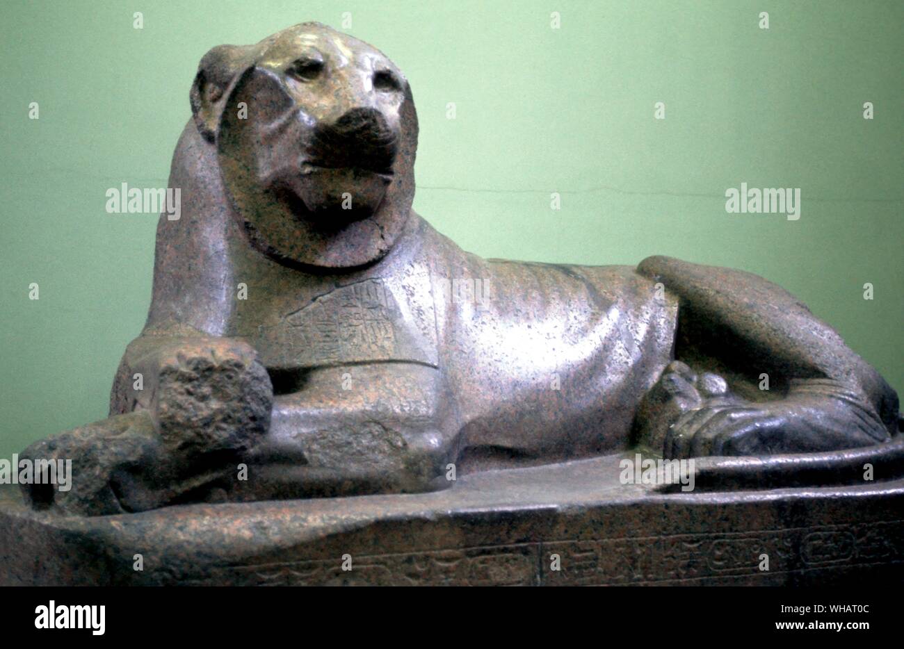 Lion de granit rouge d'Amenhotep III. . De Soleb, Soudan. 18e dynastie, vers 1370 avant JC. . . Un lion avec de nombreux noms..... . . Ce lion est l'un d'une paire provenant de la site Méroïtique de Gebel Barkal par Lord Prudhoe, c'est pourquoi ils sont parfois appelés "Lions" de Prudhoe. A l'origine du Temple de Soleb en Nubie, les lions ont agi en tant que gardienne chiffres devant un temple construit par Amenhotep III (1390-1352 av. J.-C.), un monument pour le culte du roi divinisé en tant que "seigneur de la Nubie", incarnée par le lion.. Banque D'Images