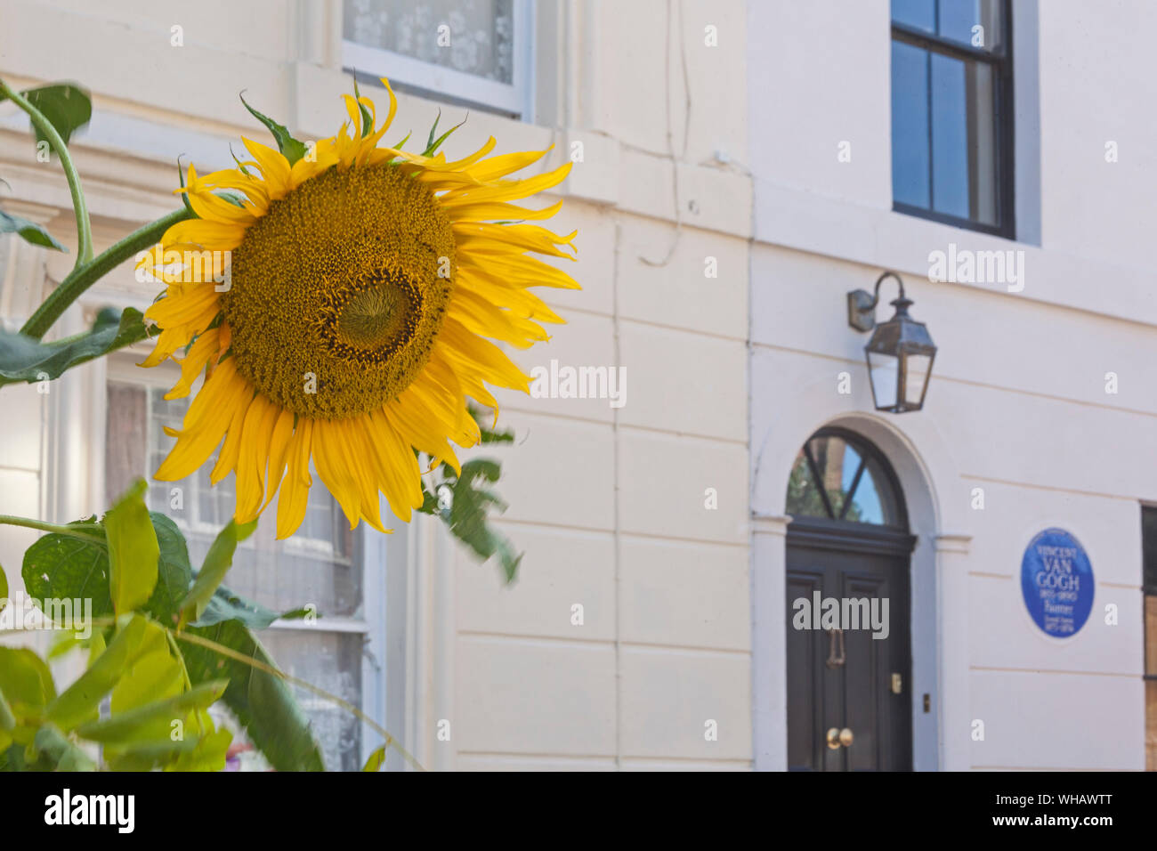 Londres, quartier de Lambeth. Un tournesol symbolique marque la maison à Hackford Road, Brixton, une fois habité par Vincent Van Gogh. Banque D'Images