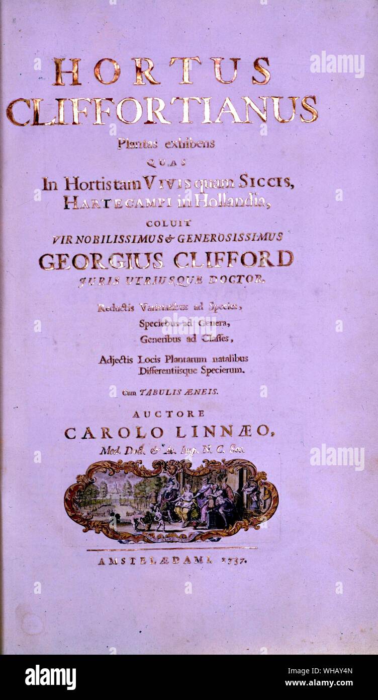 Hortus Cliffortianus, l'Herbier Clifford George, George Clifford (1685-1760), un riche marchand anglo-néerlandaise. Page de titre par Carl von Linné, aussi connu après son ennoblissement comme Carl von Linné, et en anglais sous le nom généralement latinisé Carolus Linnaeus (1707-1778). Linné est considéré comme l'un des plus relevé de l'histoire naturelle de tous les temps.. Hortus Cliffortianus contient un certain nombre d'illustrations y compris ce frontispice. De nombreuses espèces nouvelles sont décrites à partir de la vie et de spécimens séchés dans Clifford a en sa possession. Ce travail a été commandé par George Clifford comme un catalogue de la Banque D'Images