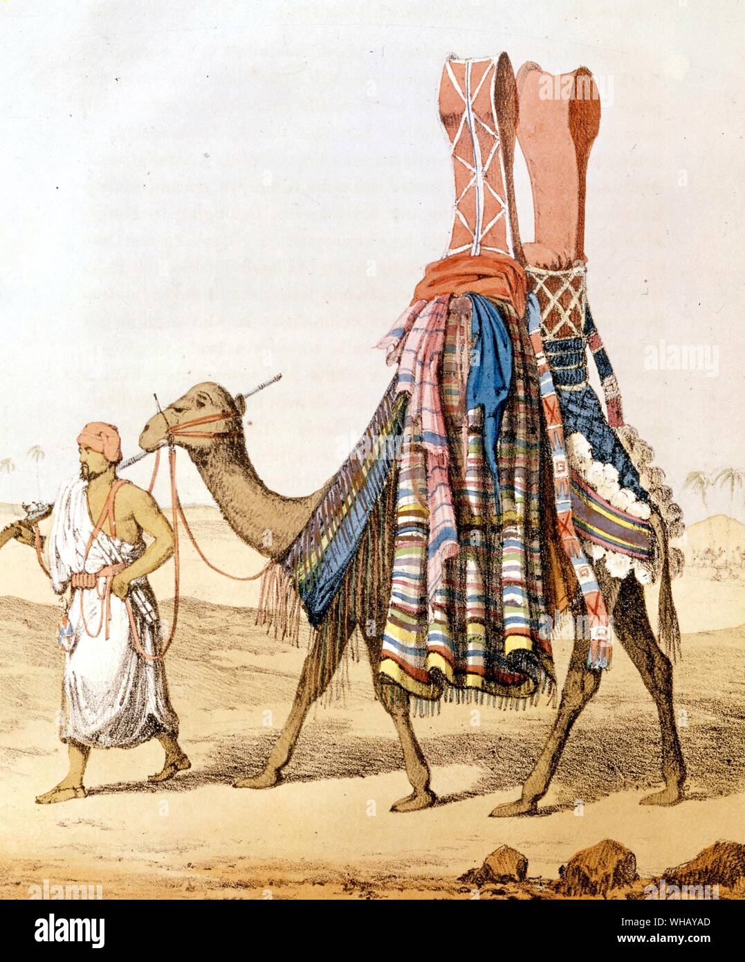 Scène saharienne : camel véhiculant une épouse à son mari par G. F. Lyon. L'aventure africaine - une histoire de l'Afrique de l'Explorers par Timothy Severin, page 122. Banque D'Images