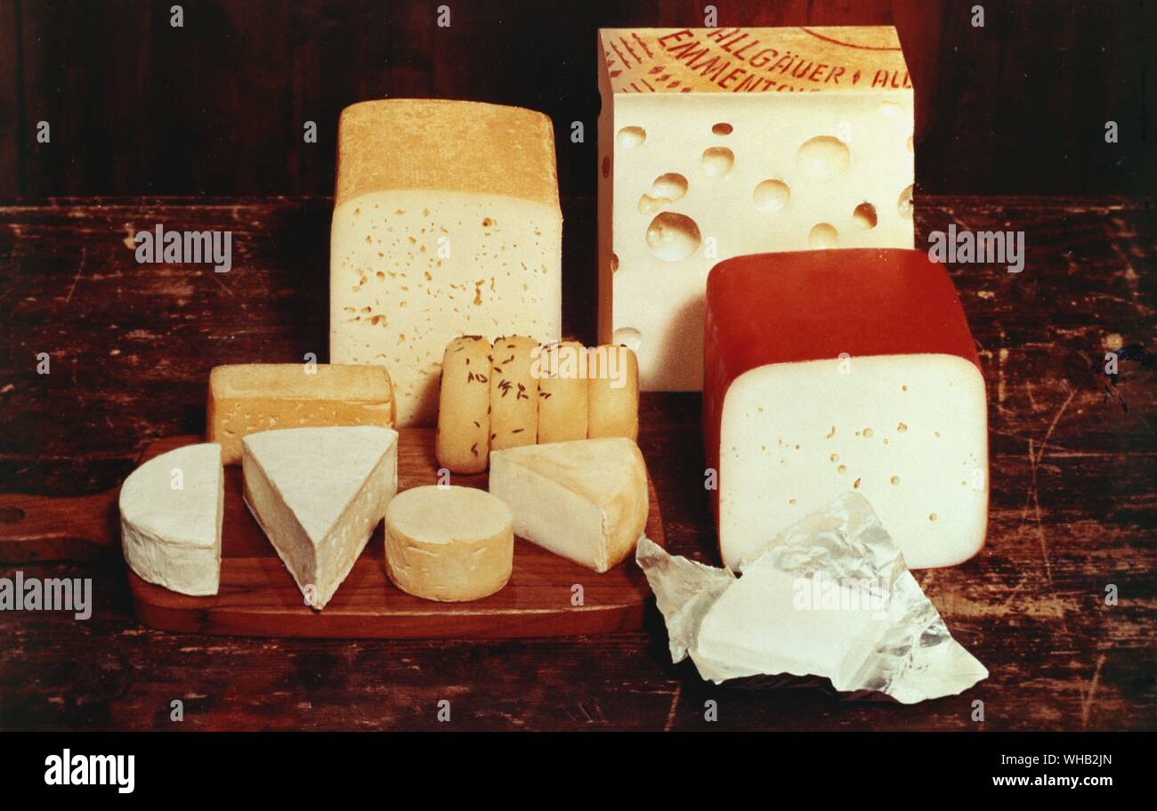 Fromages allemands. Banque D'Images