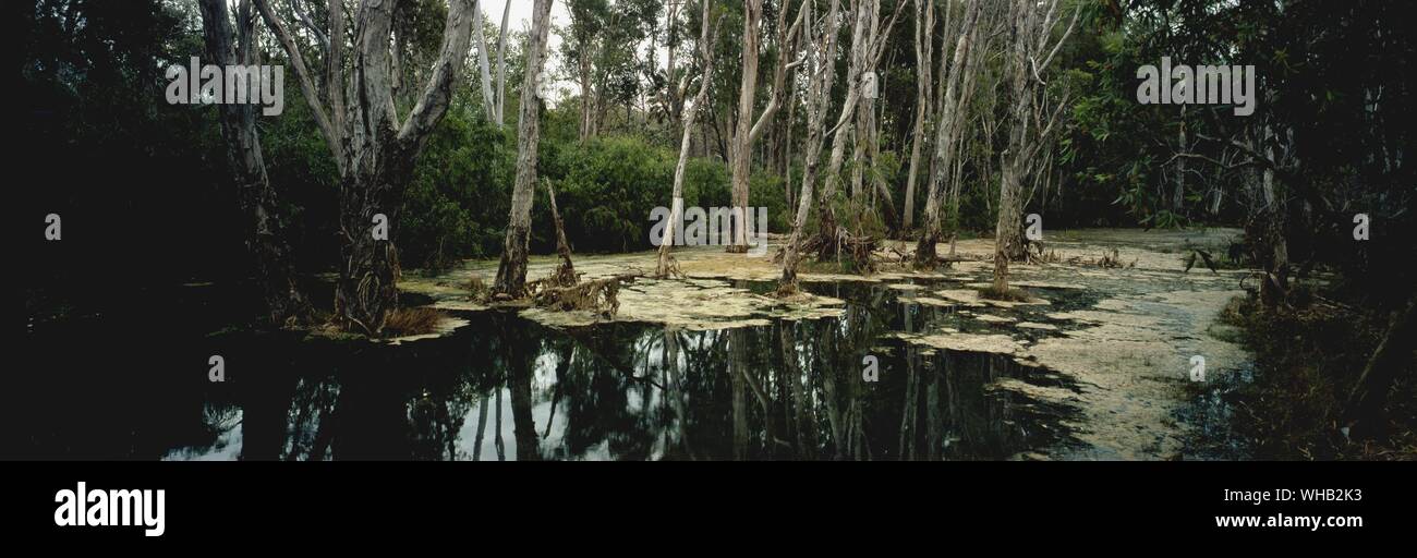 Australie - scène. Banque D'Images