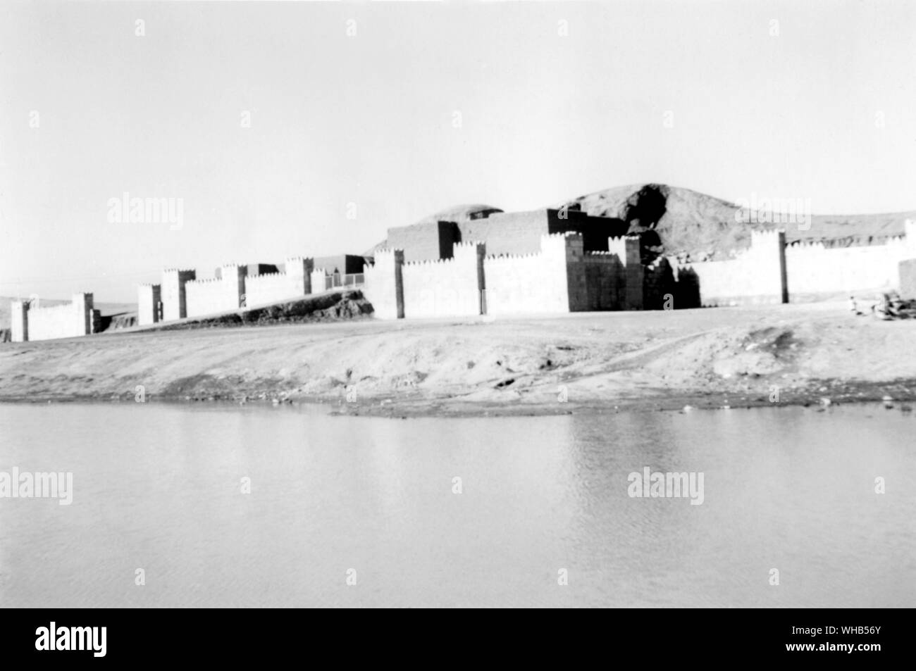 Saman probablement dans l'ouest de l'Iran Gate, près de Shahrekord.. . . . Banque D'Images