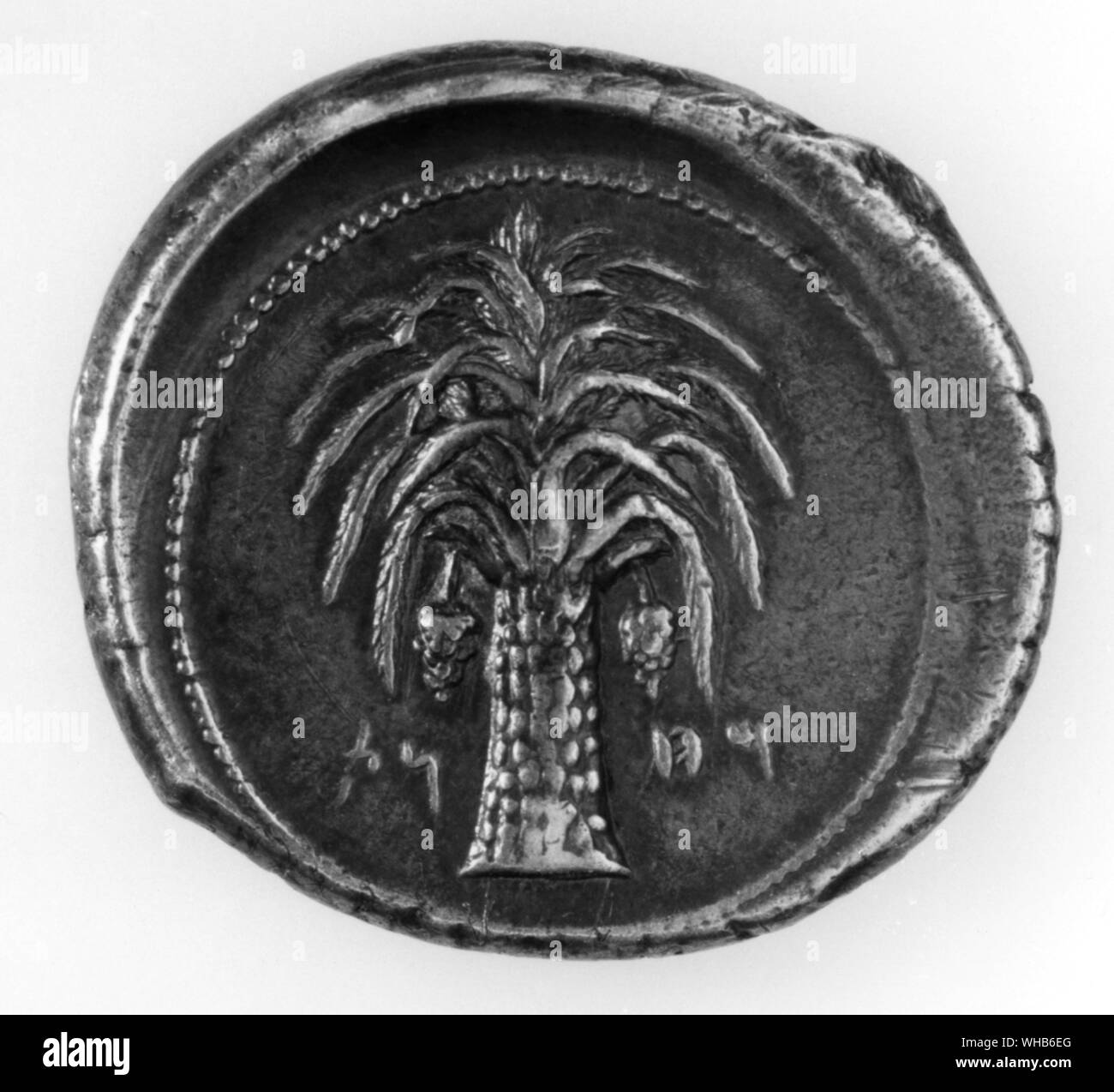 Coin de Carthage. Banque D'Images