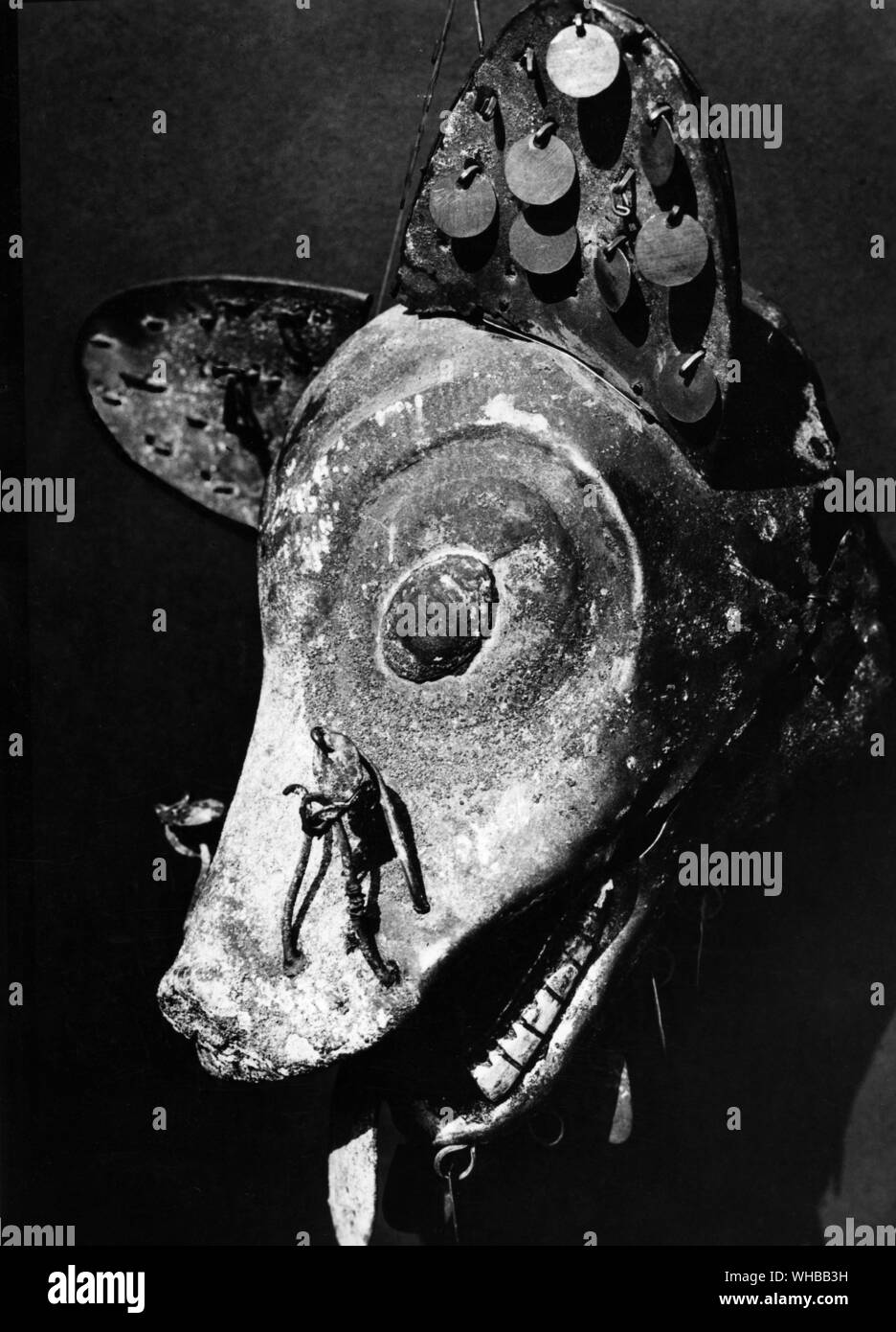 Fox's head , la civilisation Moche , Côte Nord du Pérou, en Amérique du Sud .excavées dans la pyramide de la lune . Longueur 6 pouces ou 15,2 cm. Le Field Museum of Natural History , Chicago , États-Unis Banque D'Images