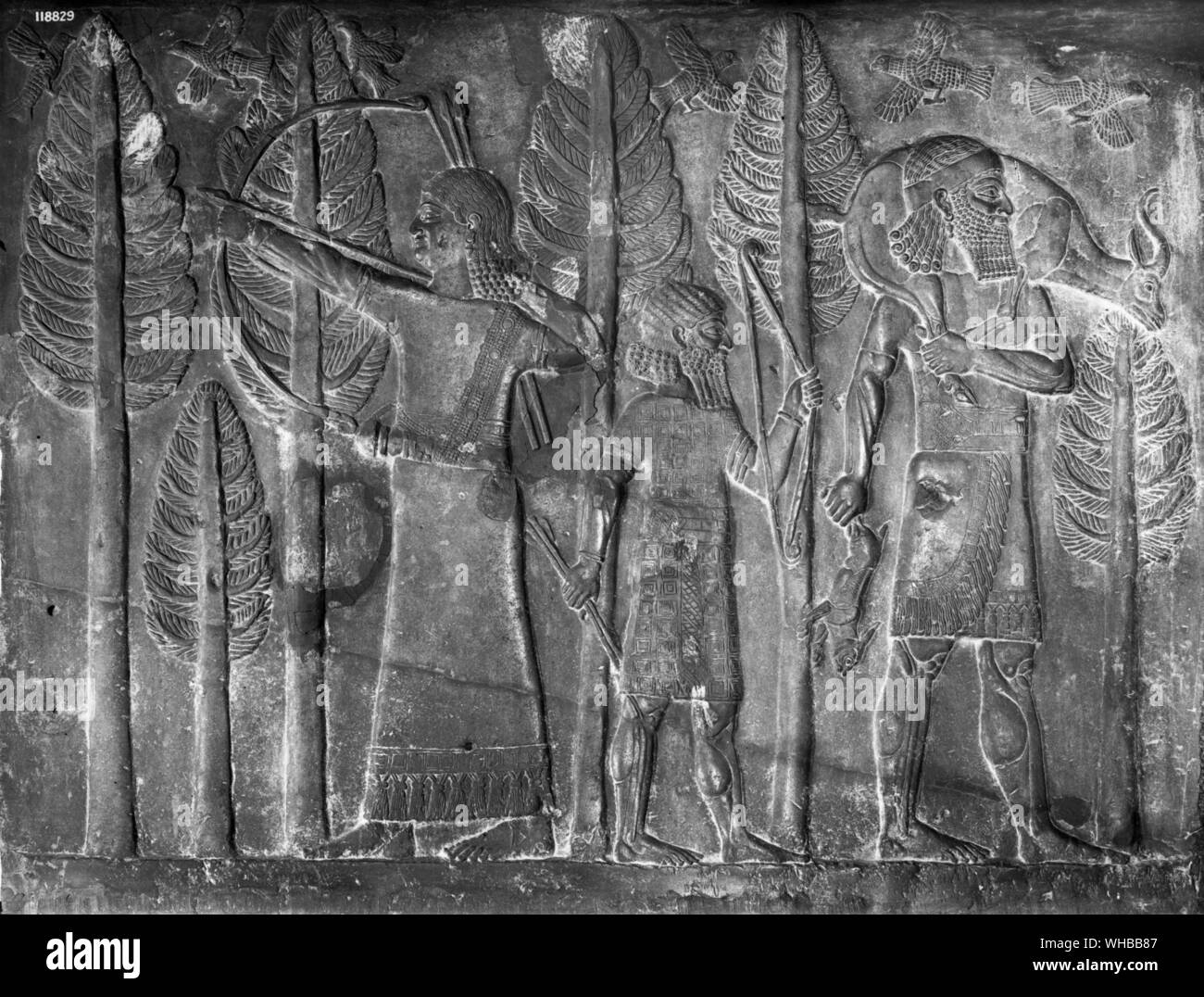 Bas-relief assyrien de Khorsabad . 8ème siècle avant J.-C. . Scène de chasse royale dans une forêt Banque D'Images