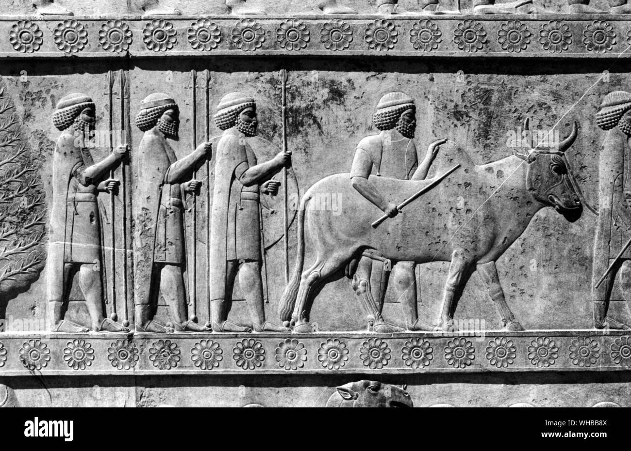 Palais Apadana , Persepolis : ancienne ville de Perse , capitale de l'Empire perse , fondée par Darius . Près de Shiraz, Iran moderne . Banque D'Images