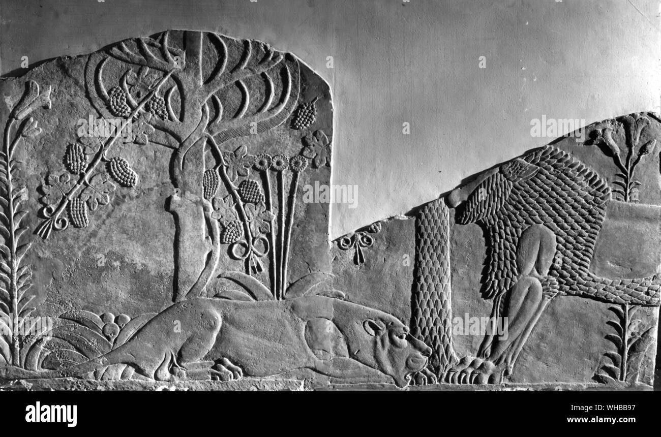 Lionne parmi les nénuphars et les vignes : Allégement de la pierre , Ninive 660 av. Banque D'Images