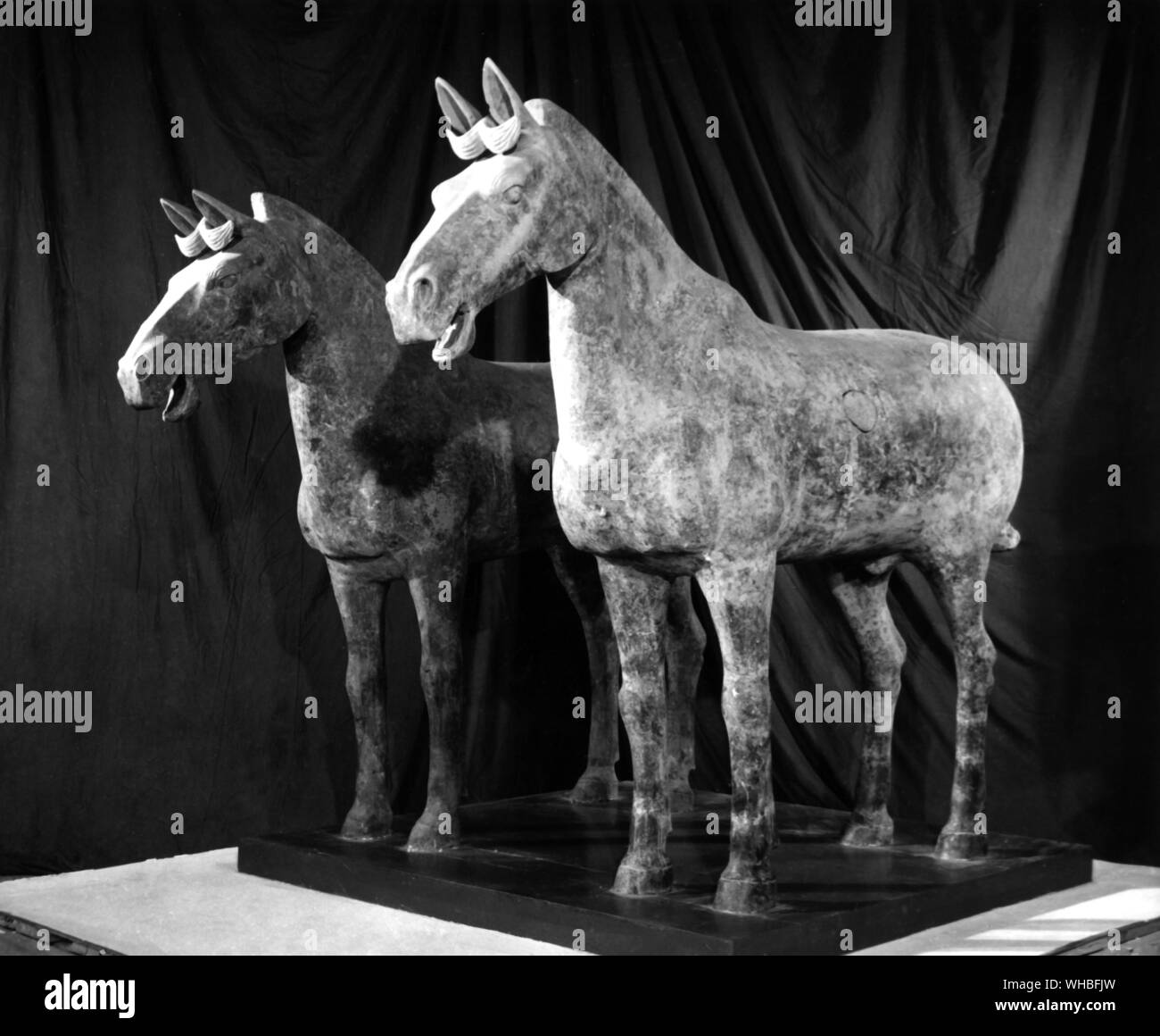 Premier Empereur de Chine : des statues de chevaux de cavalerie Banque D'Images