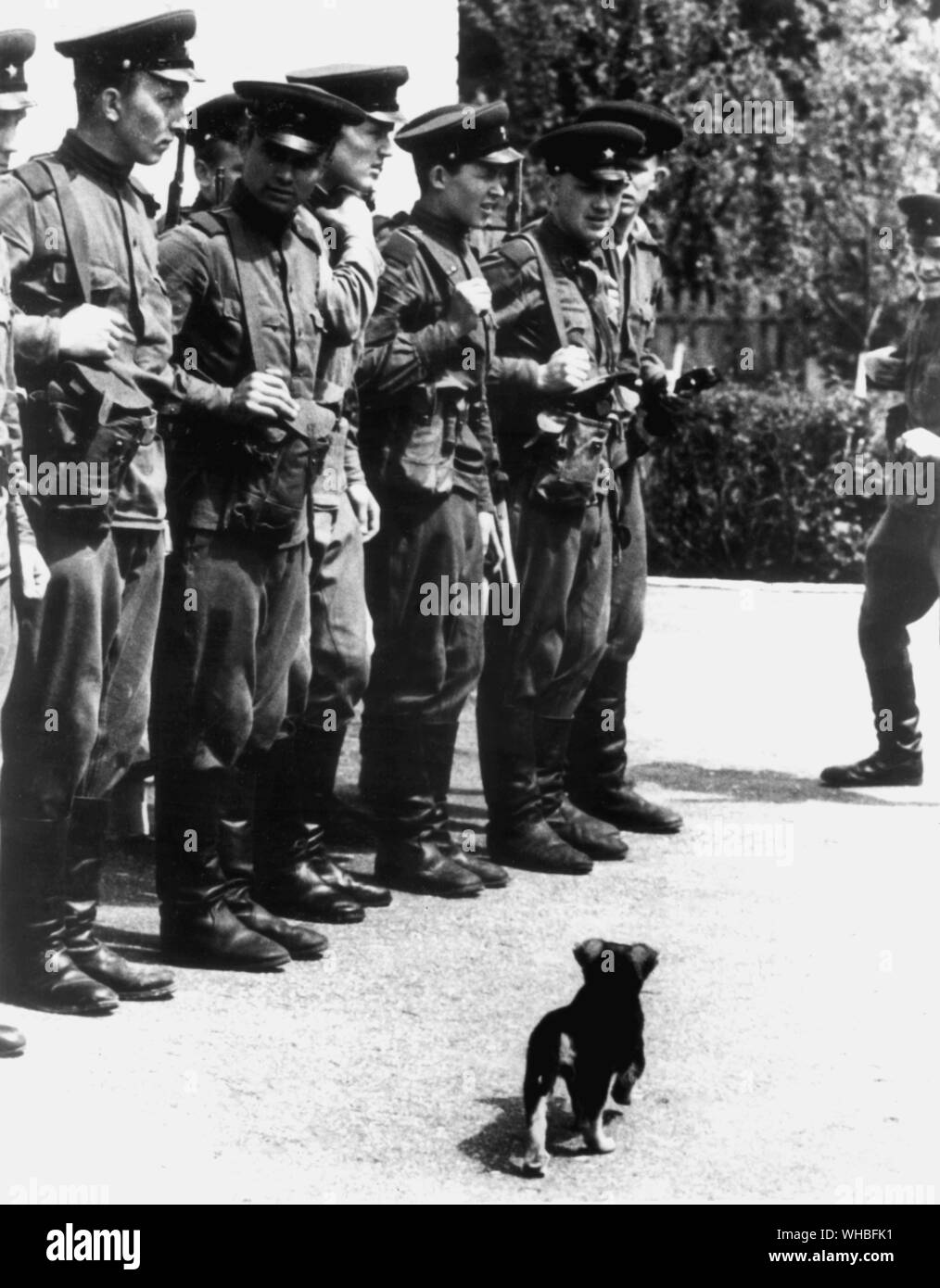 Le poste frontière Gregory Kofanov : gardes-frontière russes assemblés sur le défilé avant d'aller en service sont inspectés par leur mascotte , un chiot de race Thoroughbred appelé Groza , le nom d'un gardien héroïque .. 10 Juin 1969 Banque D'Images