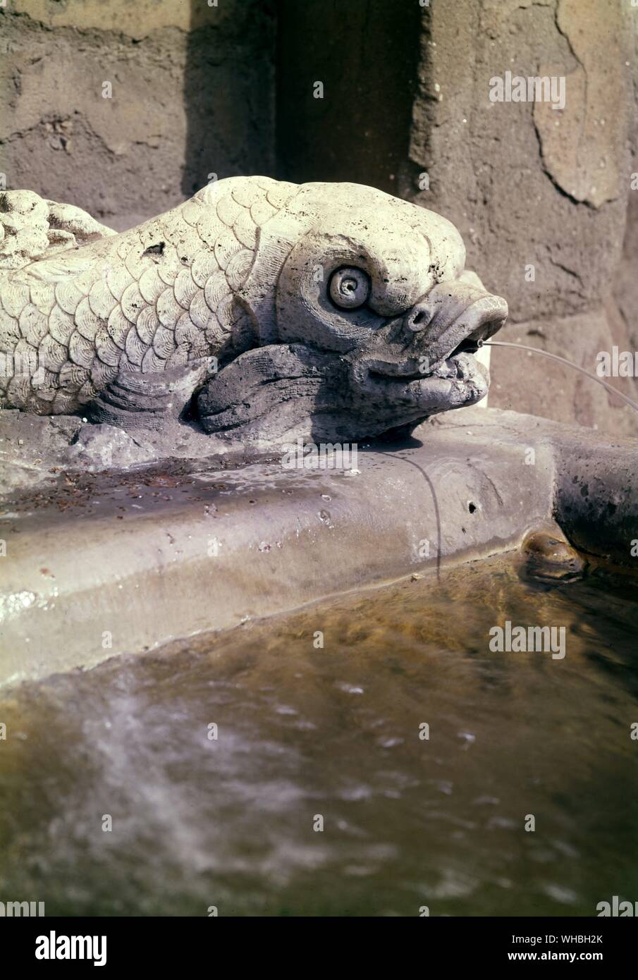 Détail de poissons provenant de la fontaine sur la Via Flaminia , Rome , Italie . Construit 1875 - Fontaine du pape Jules III Banque D'Images