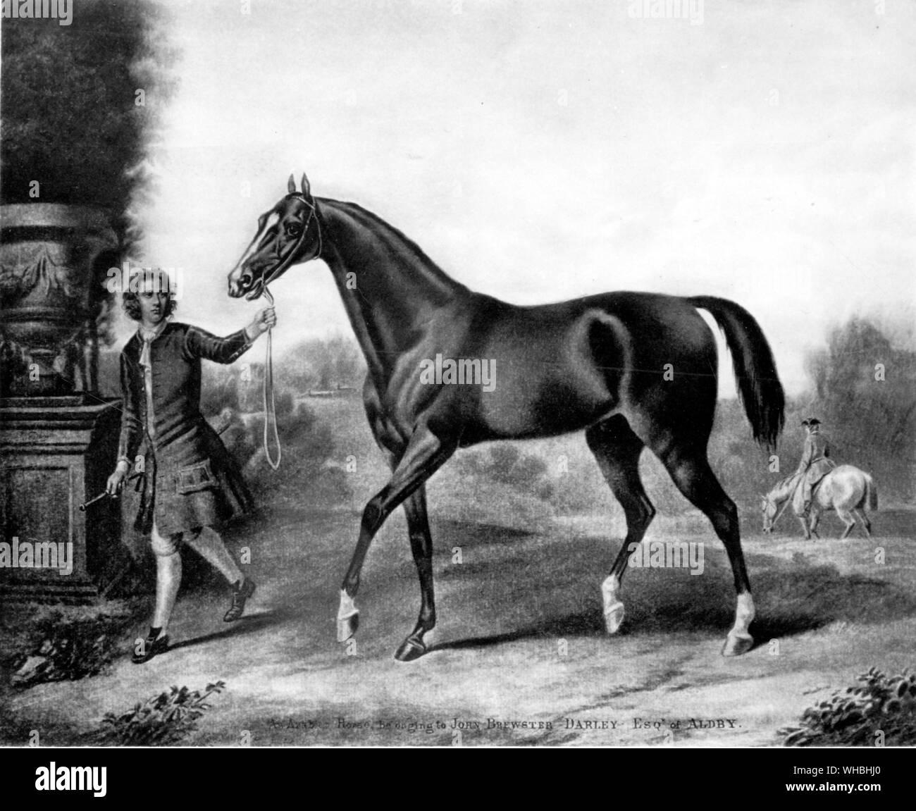 Darley Arabian. Ce cheval était née en 1700. Il a été d'environ 20 ans plus jeune que Byerley's. Il a été acheté par Thomas Darley à Alep en 1704, qui l'a envoyé à son frère Richard à Aldby, Yorkshire. Il resta là jusqu'en 1730, puis la propriété de John Brewster Darley. Un de ses fils a Bulle Rock, le premier pur-sang d'aller à l'Amérique. D'autres ont été les deux Childers, un des premiers grands chevaux de pur-sang, l'autre l'ancêtre, par Eclipse, d'aujourd'hui, la plupart des pur-sang (voir pp. 78-80). Chevaux de pur-sang arabes sont les descendants des chevaux.. L'histoire de cheval Banque D'Images