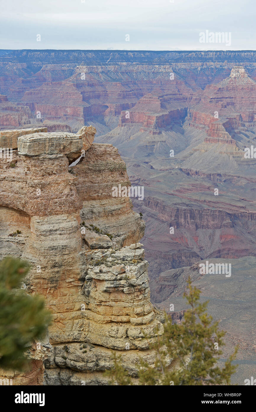 Grand Canyon vue verticale avec des falaises colorées Banque D'Images