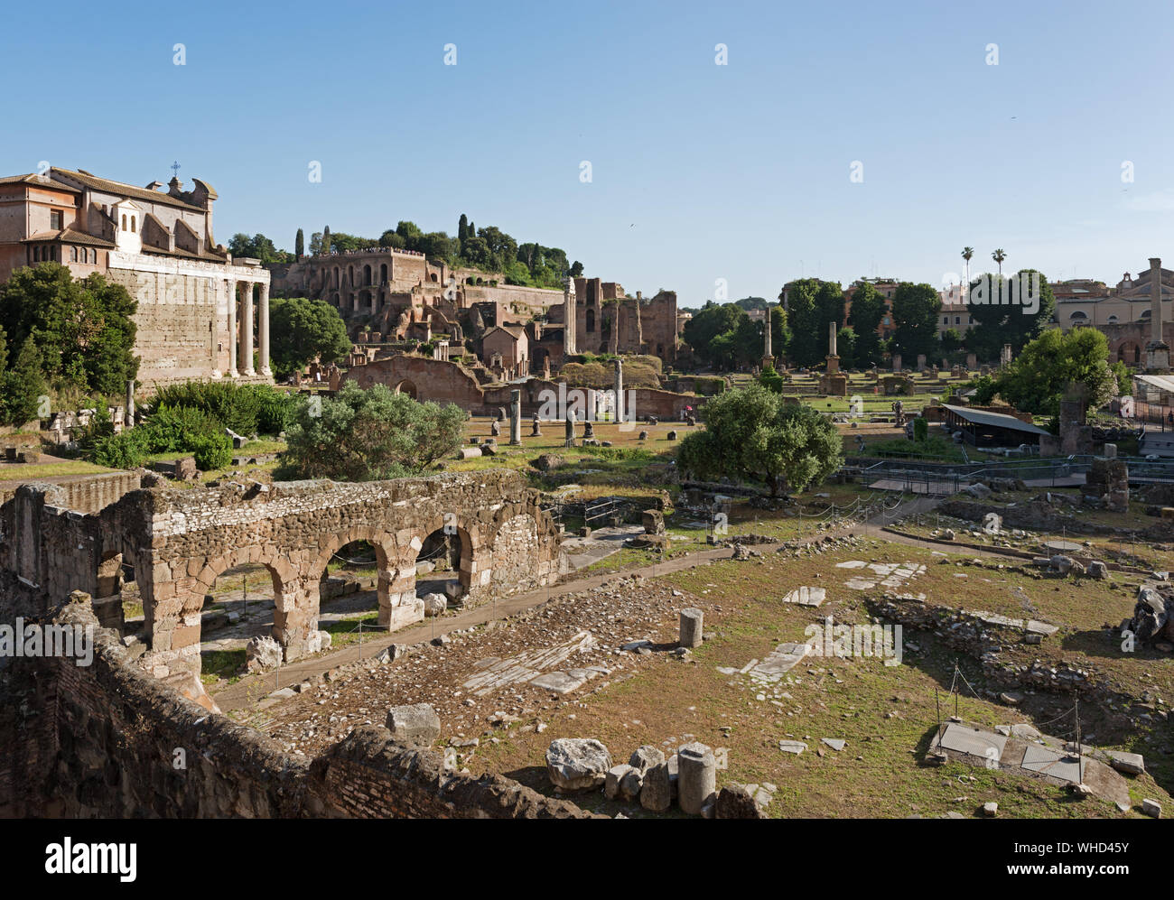 Forum de Nerva (premier plan), Temple de Faustine et Antonius responsables de l'information (à gauche), Domus Tiberiana. Rome, Italie Banque D'Images