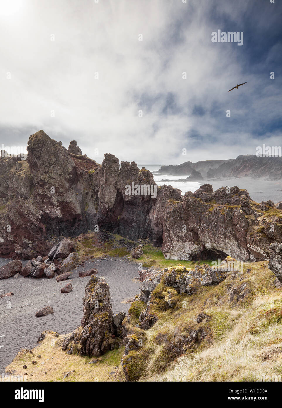 Black lava Pearl Beach, Islande, Fjords de l'Ouest Banque D'Images