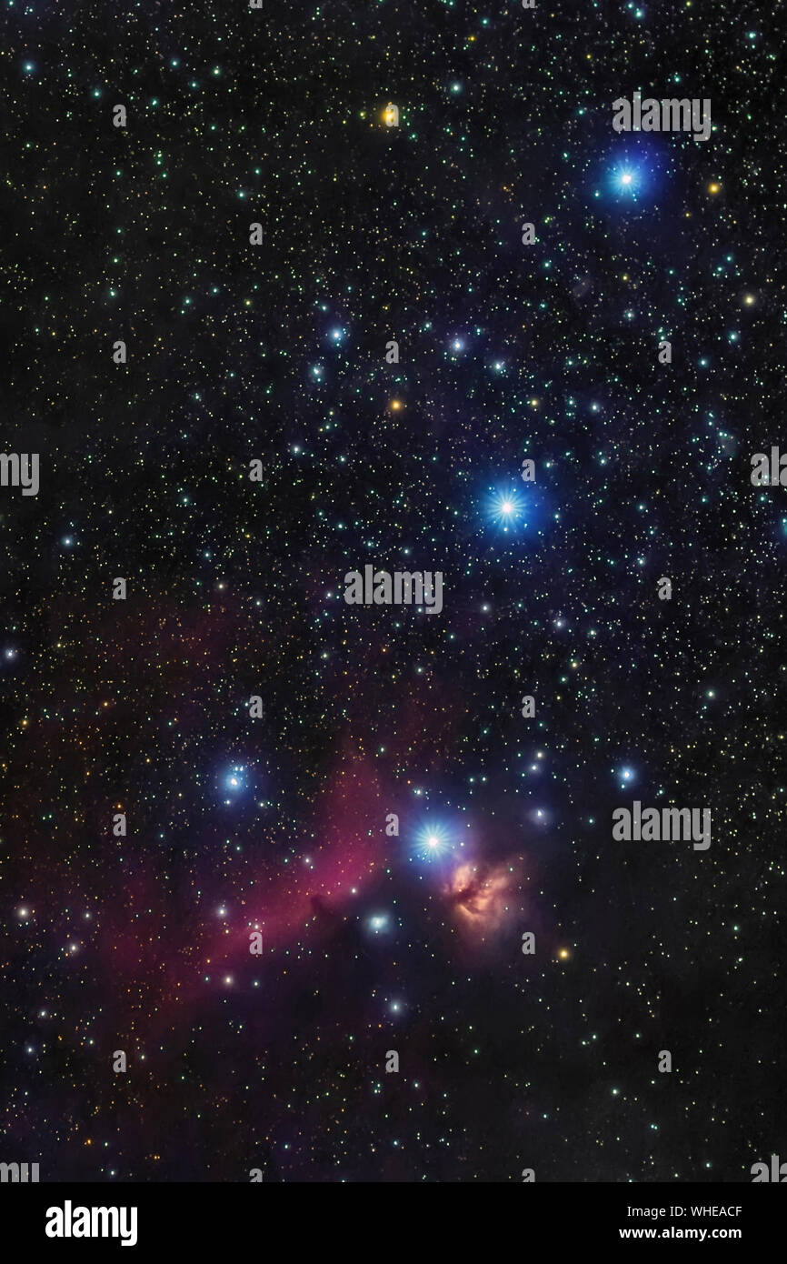 La ceinture d'Orion dans le ciel d'hiver, l'étoile Alnitak, Alnilam,  Mintaka, Horsehead Nebula, Nébuleuse d'Orion Photo Stock - Alamy
