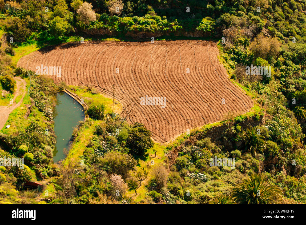Terreno para plantar papas, Gran Canaria Banque D'Images