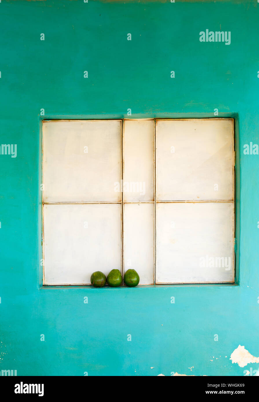 Trois avocats dans une fenêtre Banque D'Images