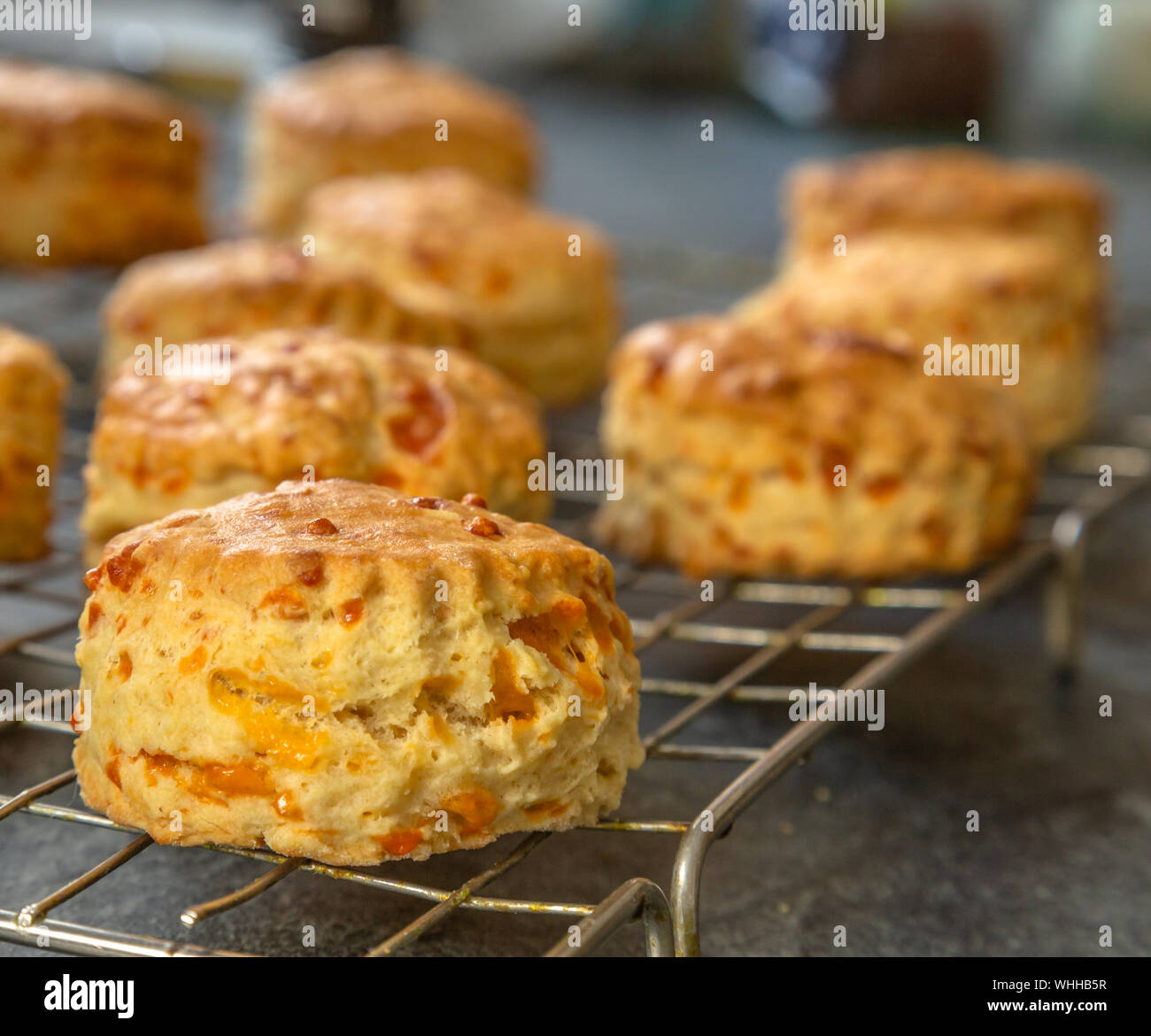 Scones au fromage sur un bac de refroidissement Banque D'Images