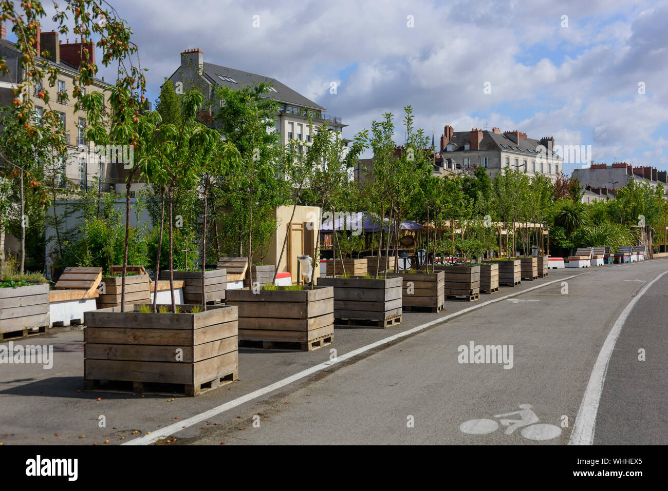 Nantes, provisorische Bepflanzung des Loire-Kais Banque D'Images