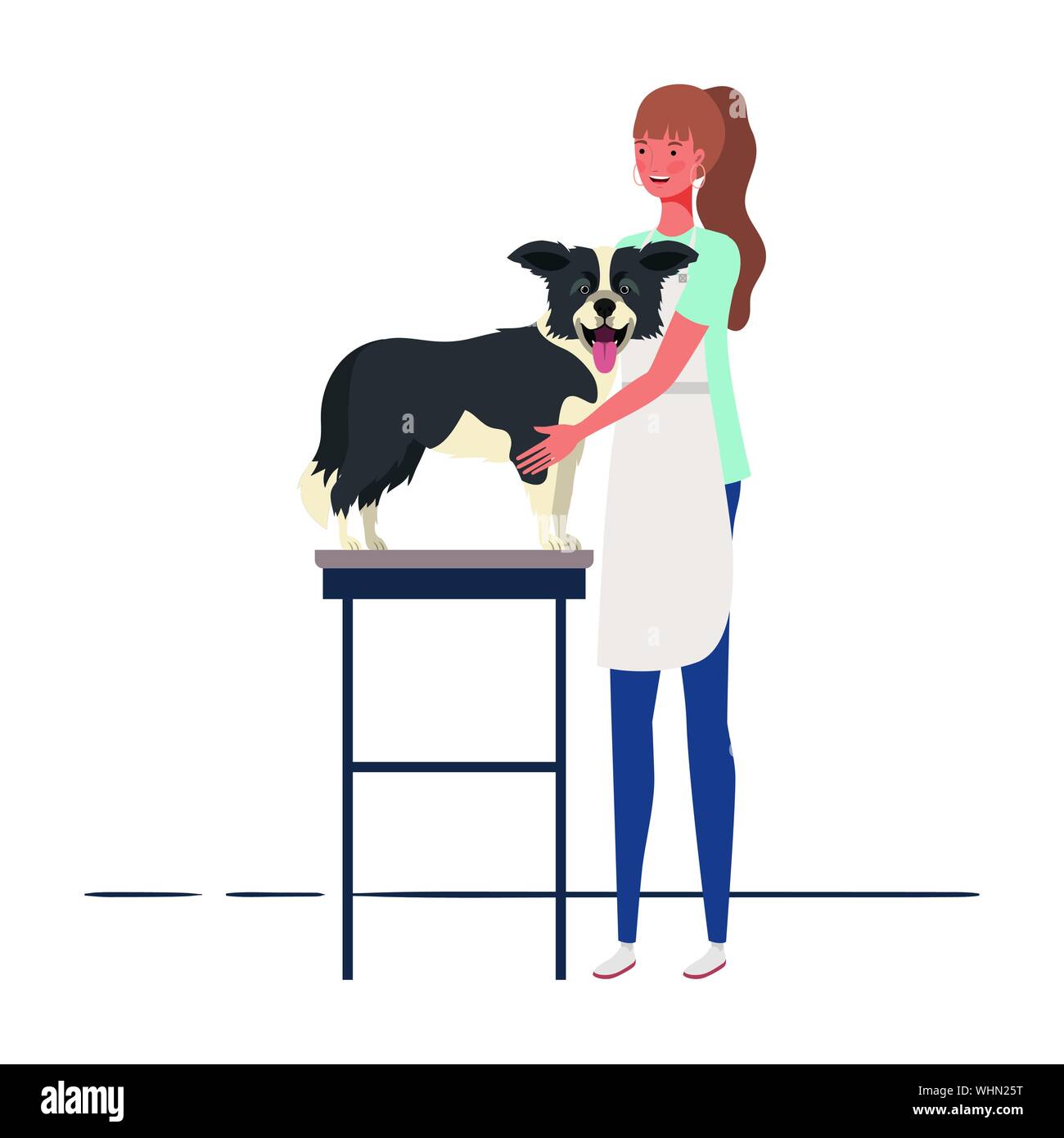 Jeune femme peignant un chien dans animal toiletteur Illustration de Vecteur