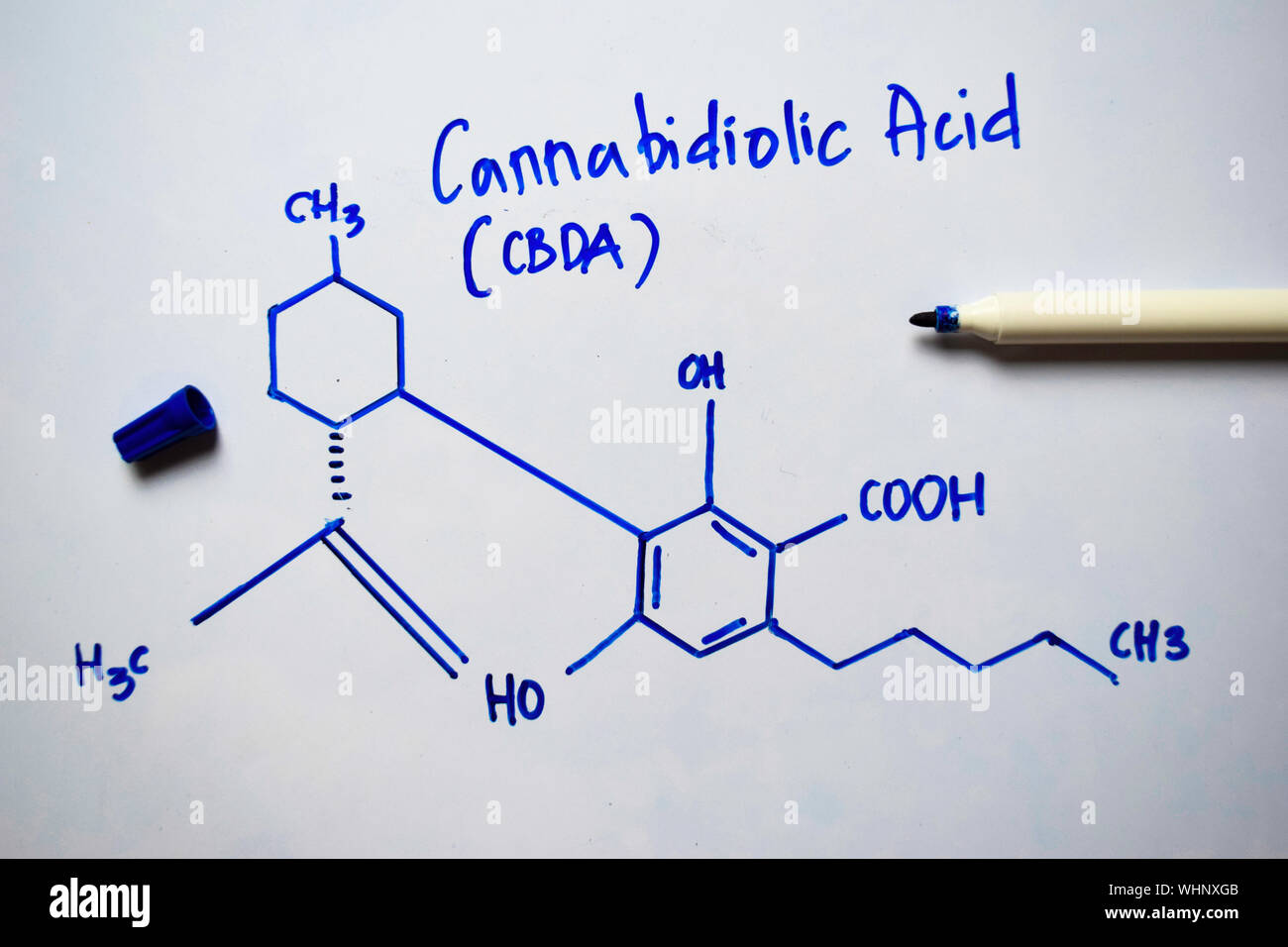 Cannabidiolic (acide LE CBDA) molécule écrit sur le tableau blanc. Formule chimique structurels. Concept de l'éducation Banque D'Images